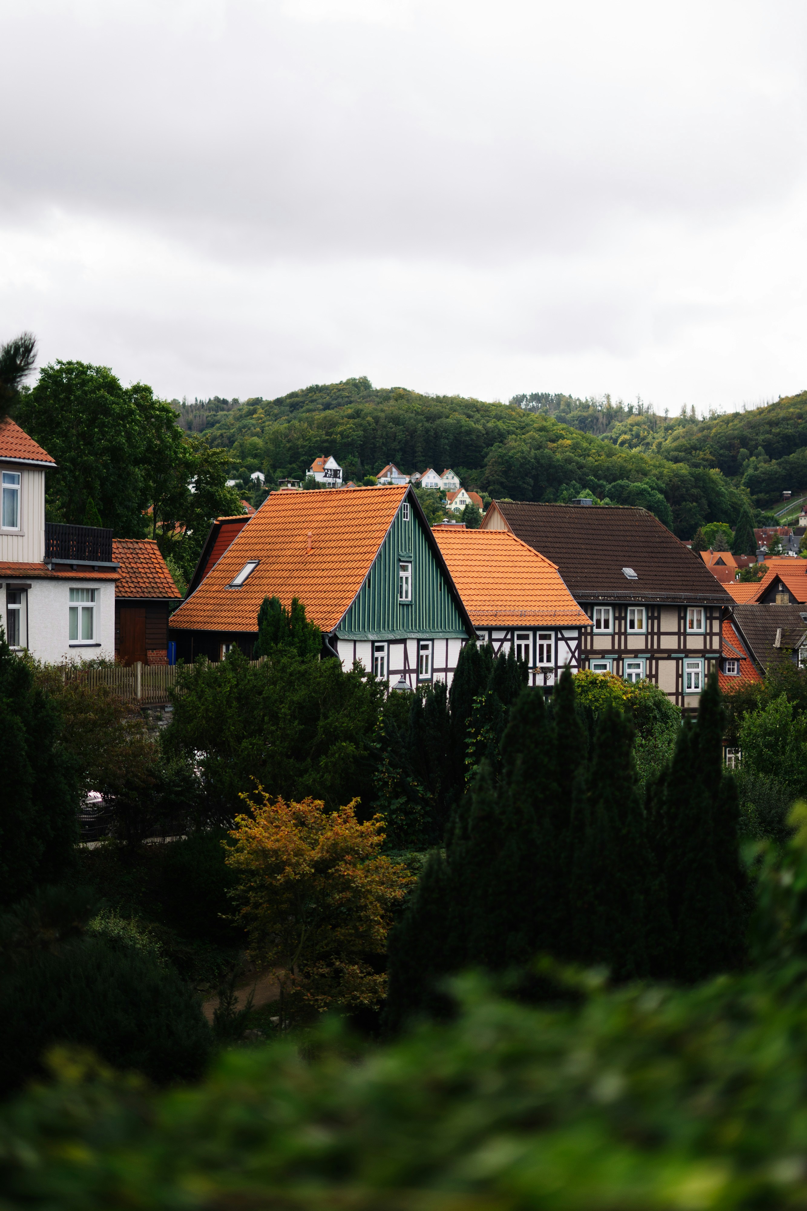 Photo by robert_lens