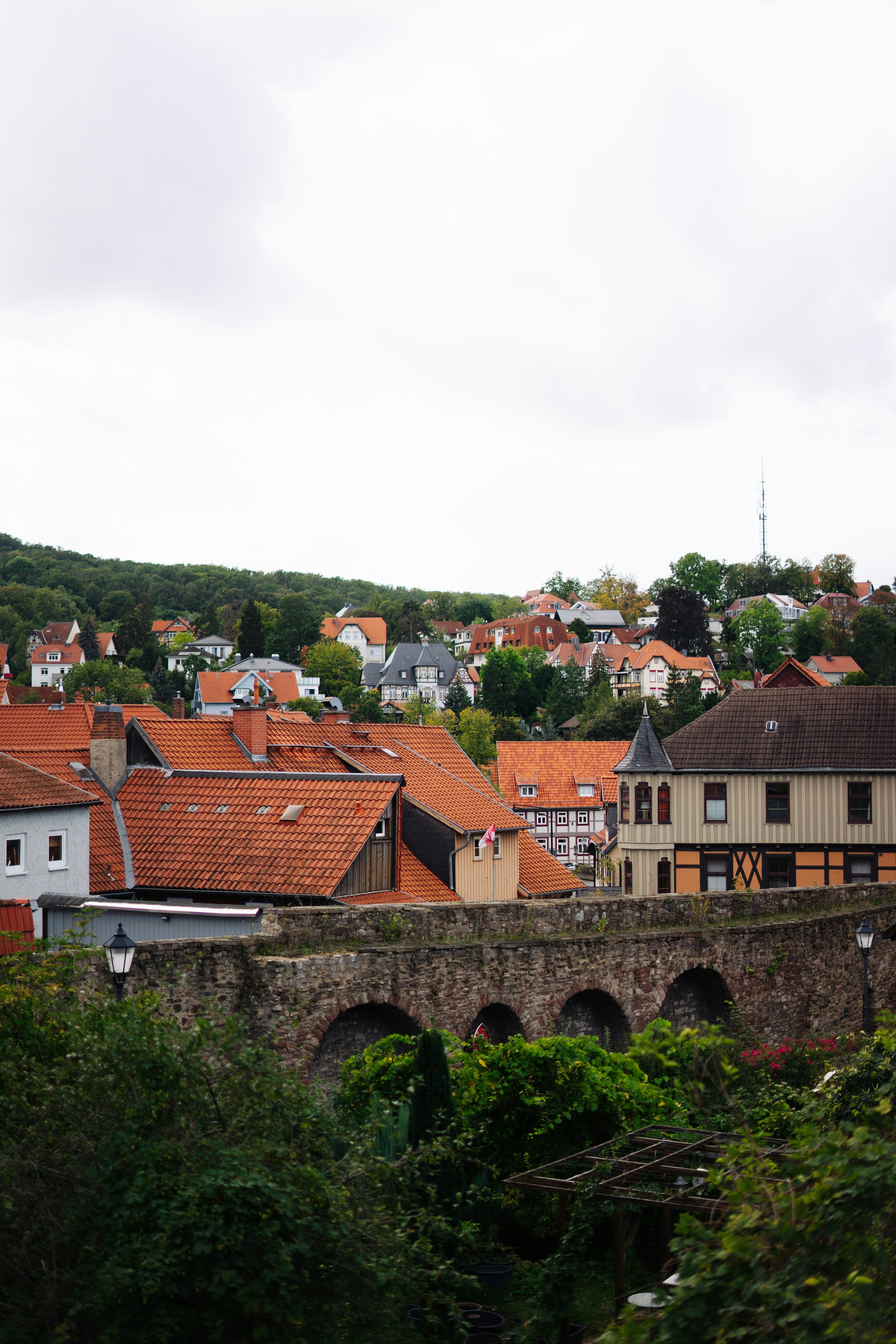 Photo by robert_lens