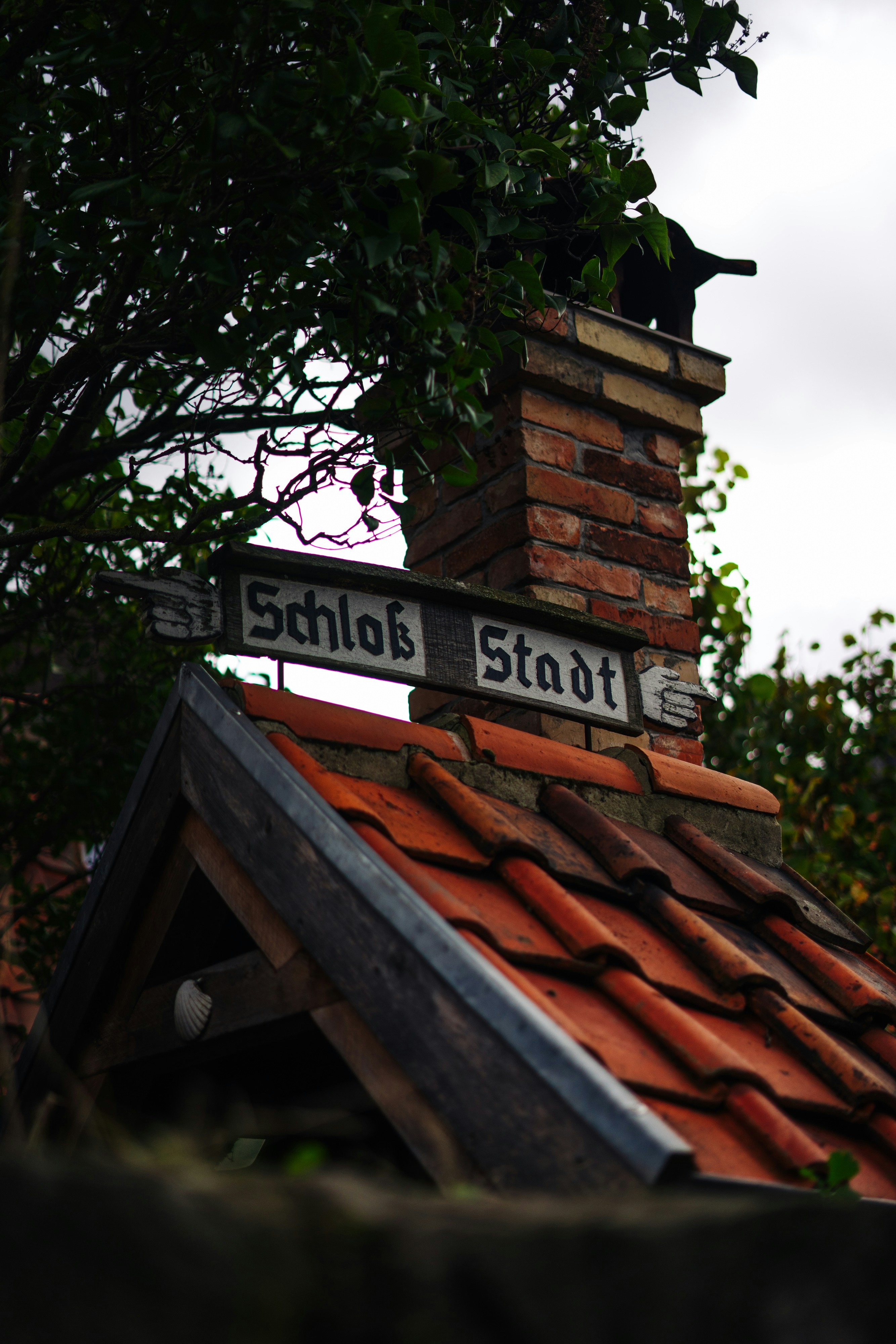 A couple of street signs on top of a roof