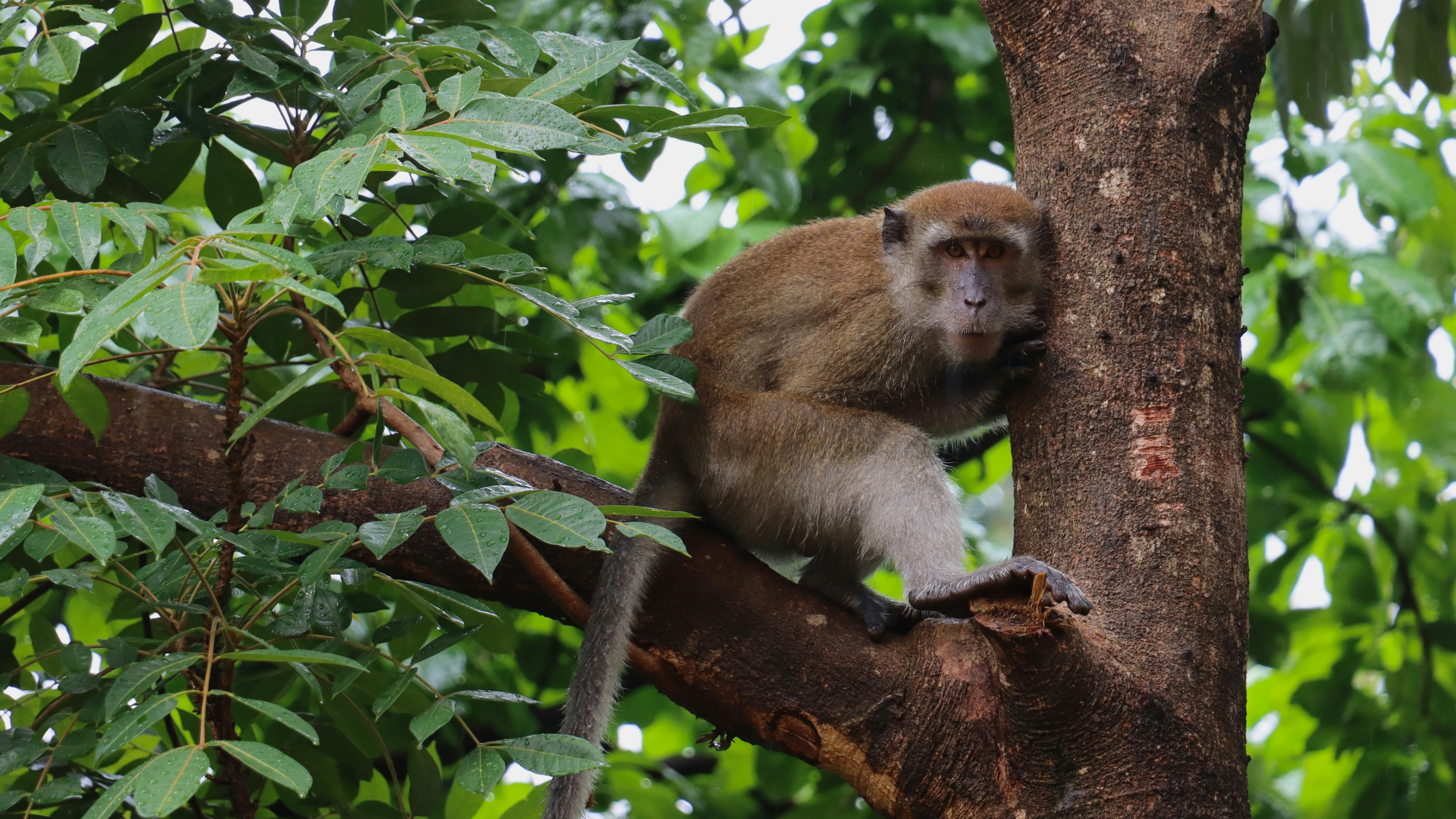 Photo by exploringzhongguo