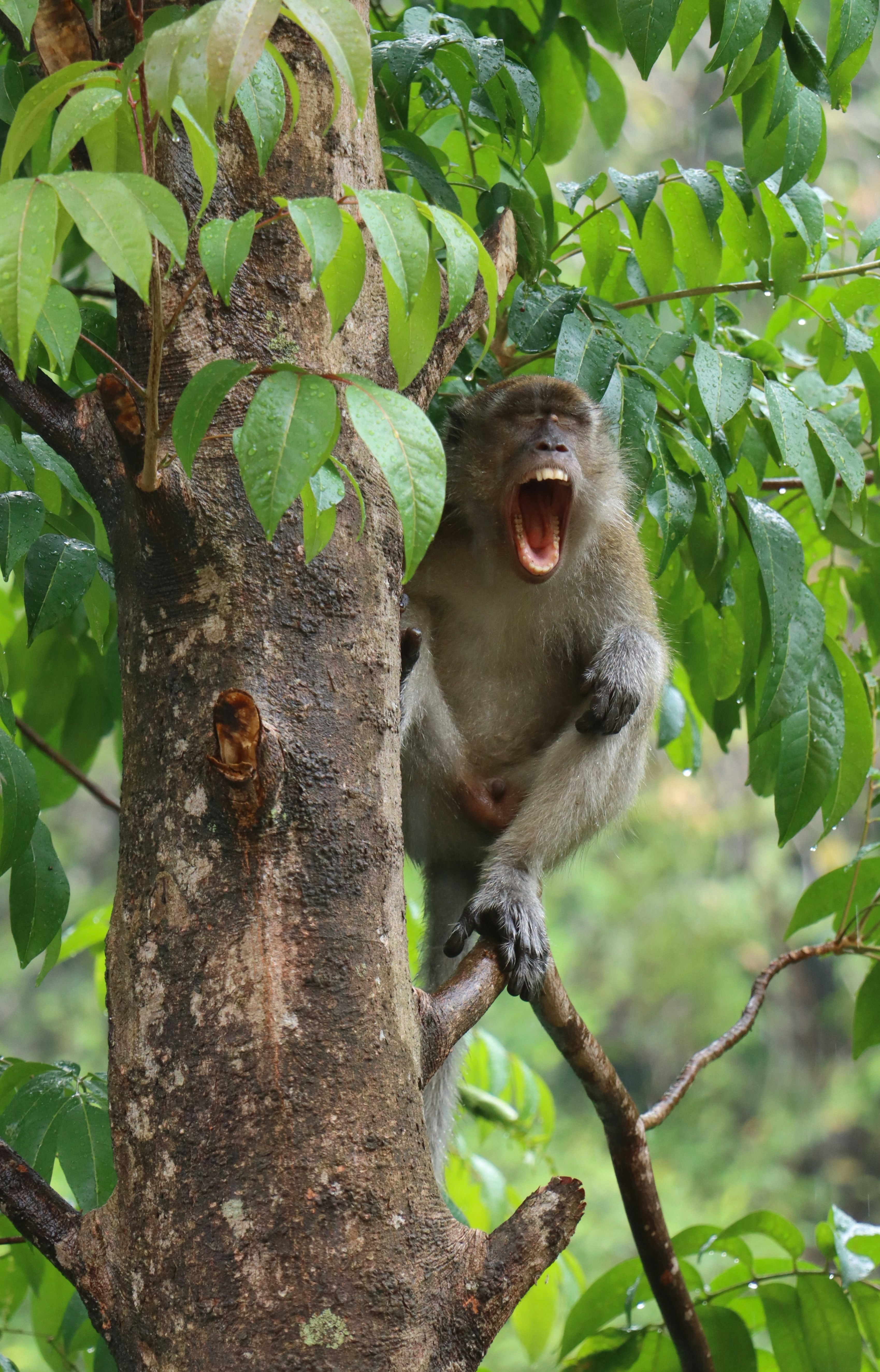 Photo by exploringzhongguo