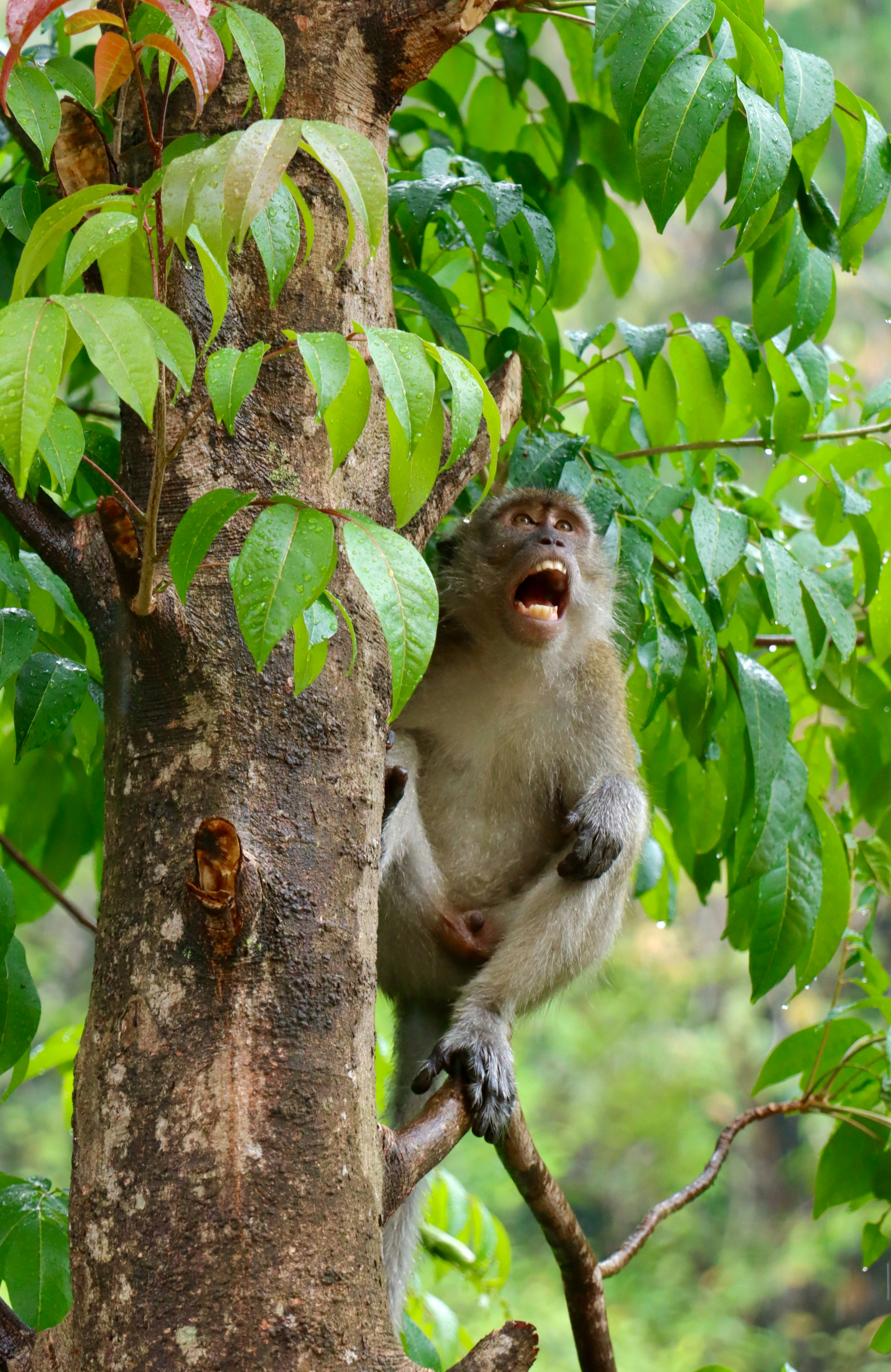 Photo by exploringzhongguo