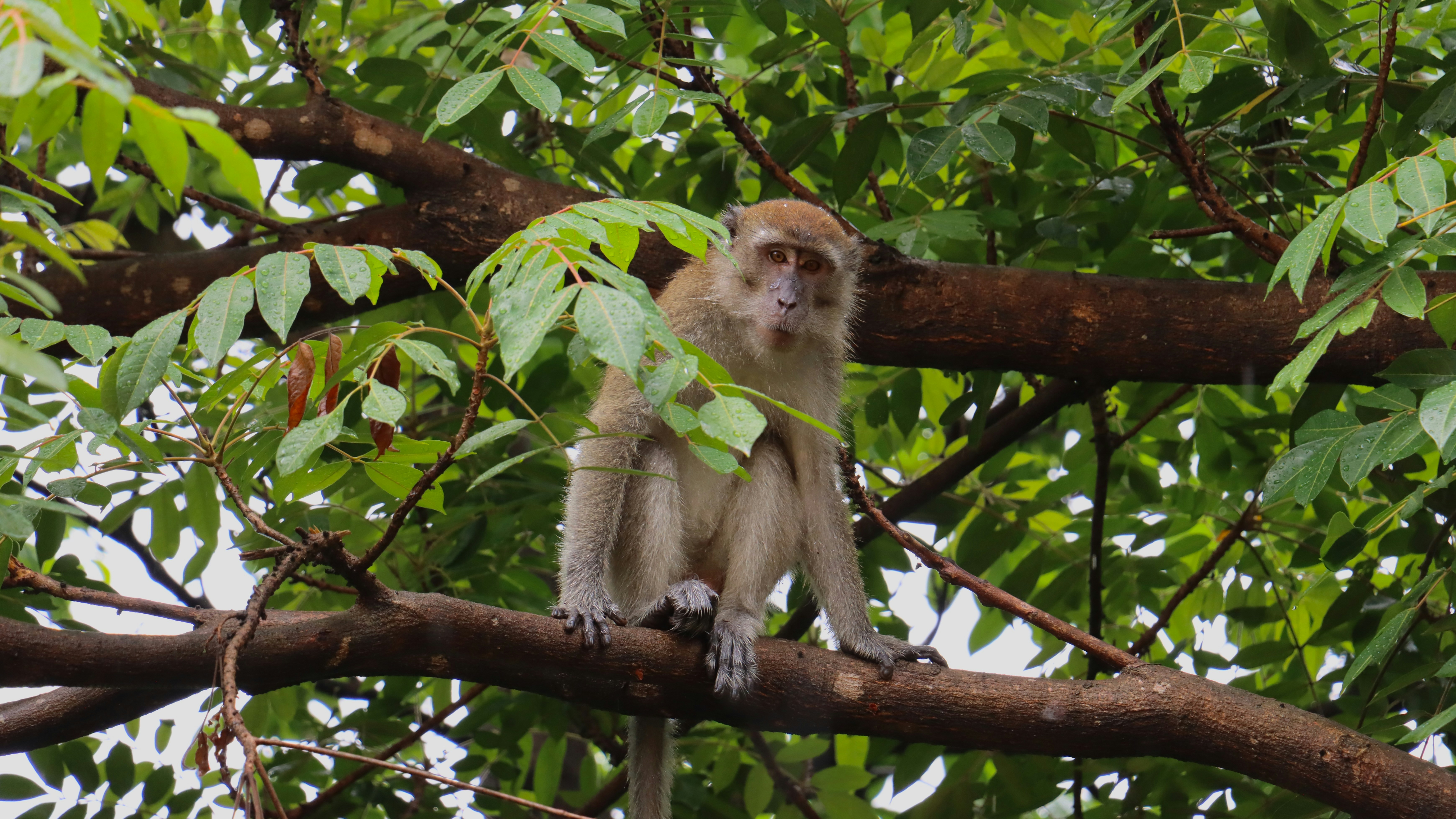 Photo by exploringzhongguo