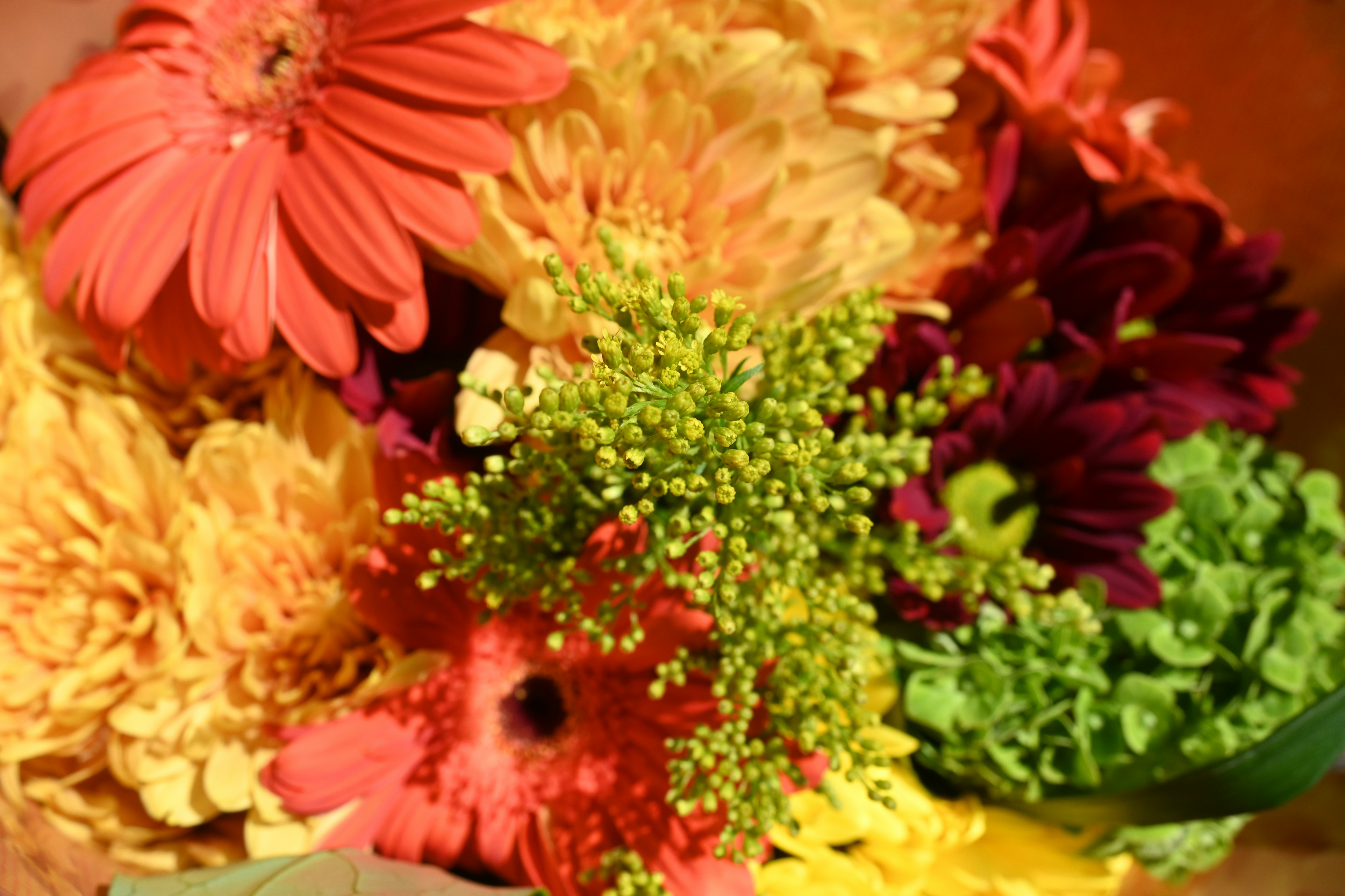 Photo by karolinabobek