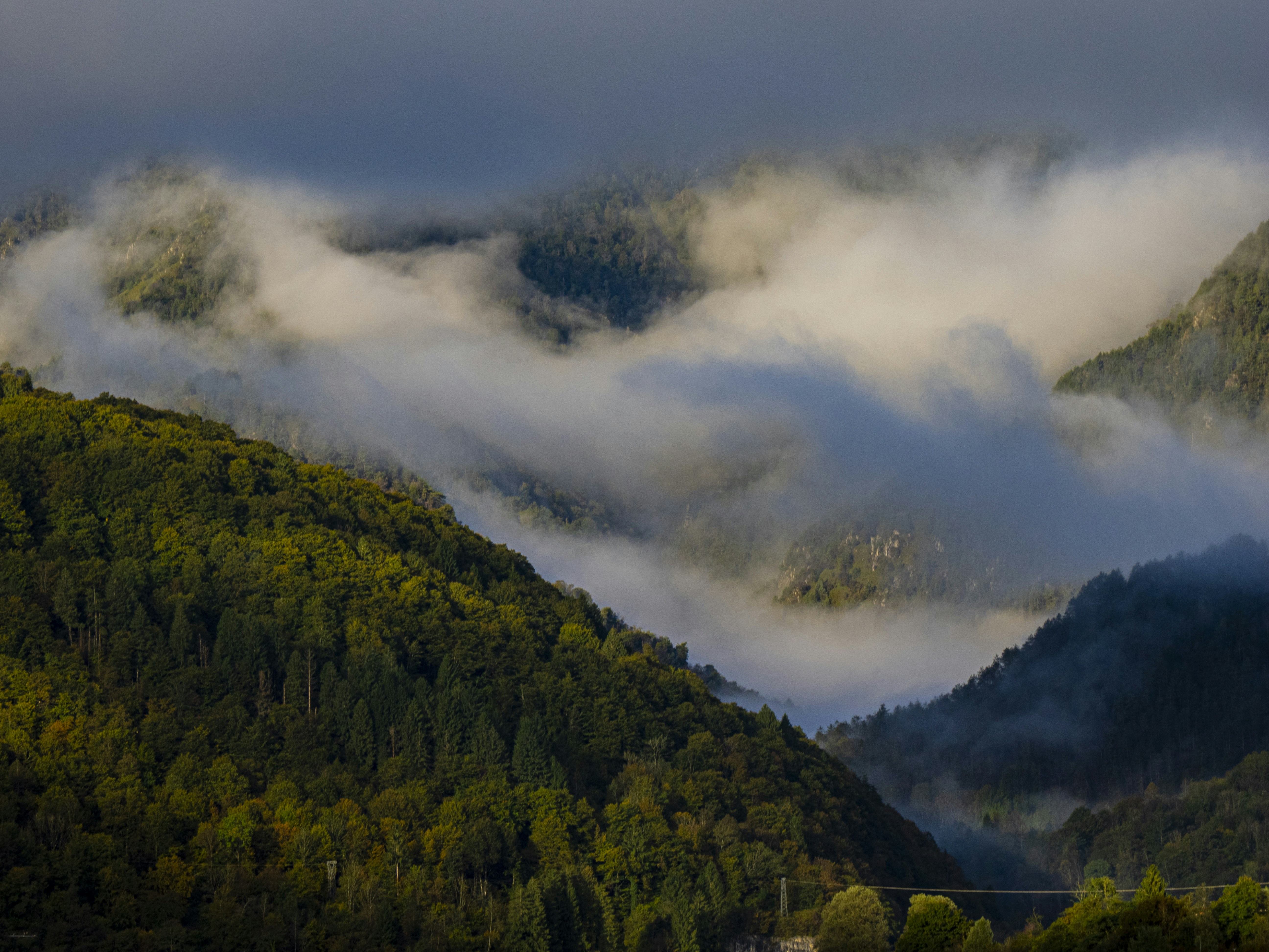 Photo by gopitri_prem