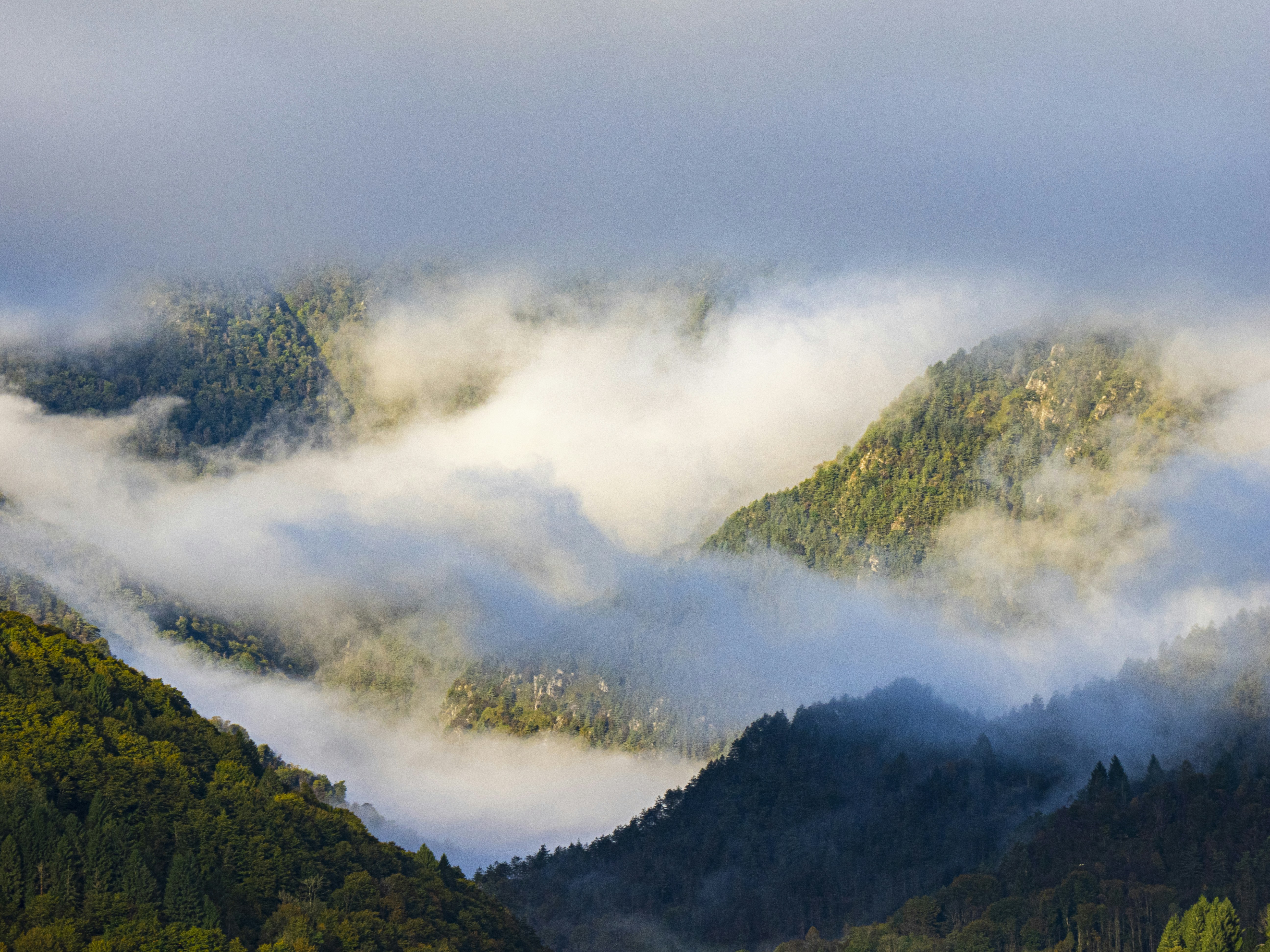 Photo by gopitri_prem