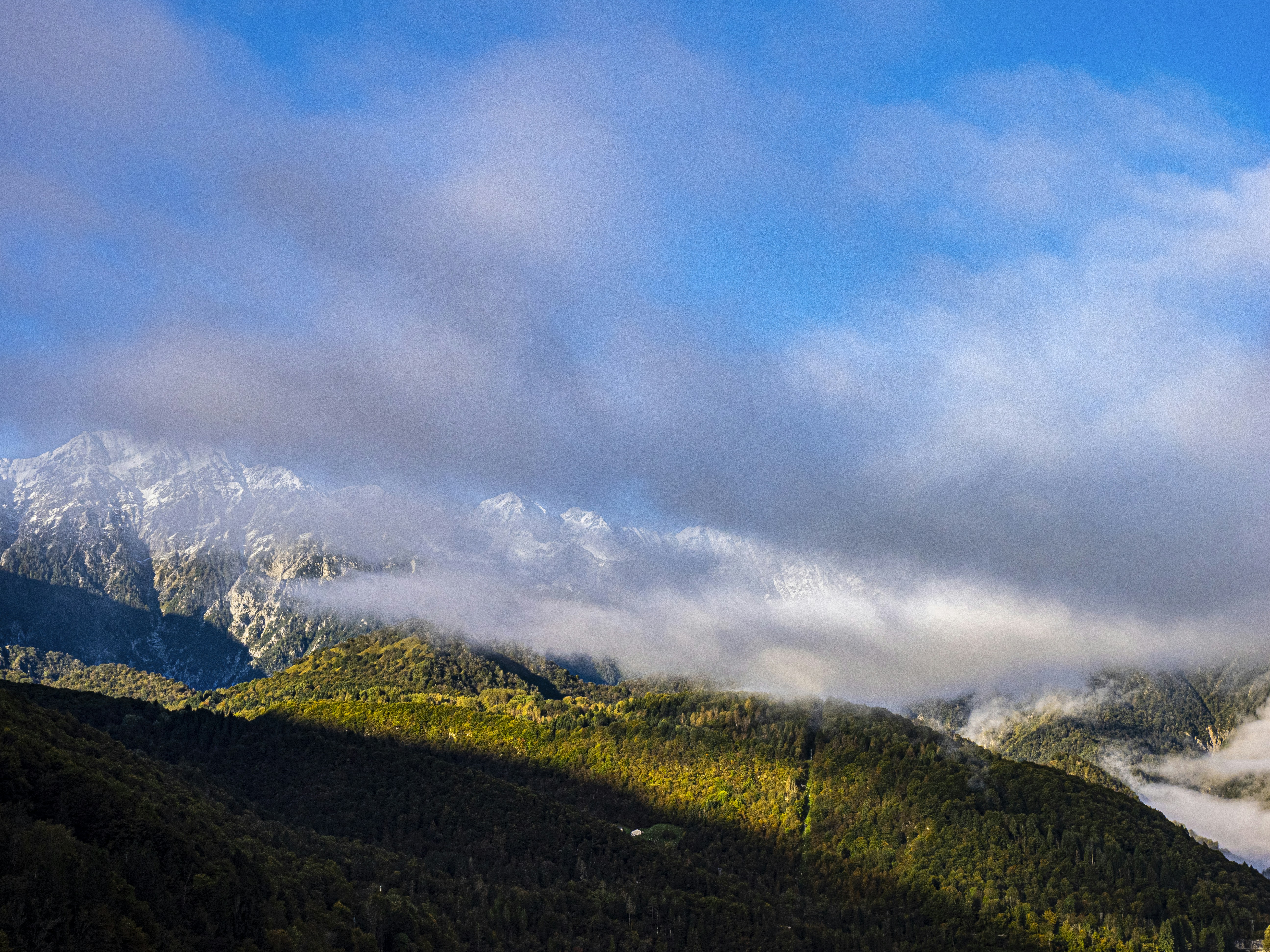 Photo by gopitri_prem