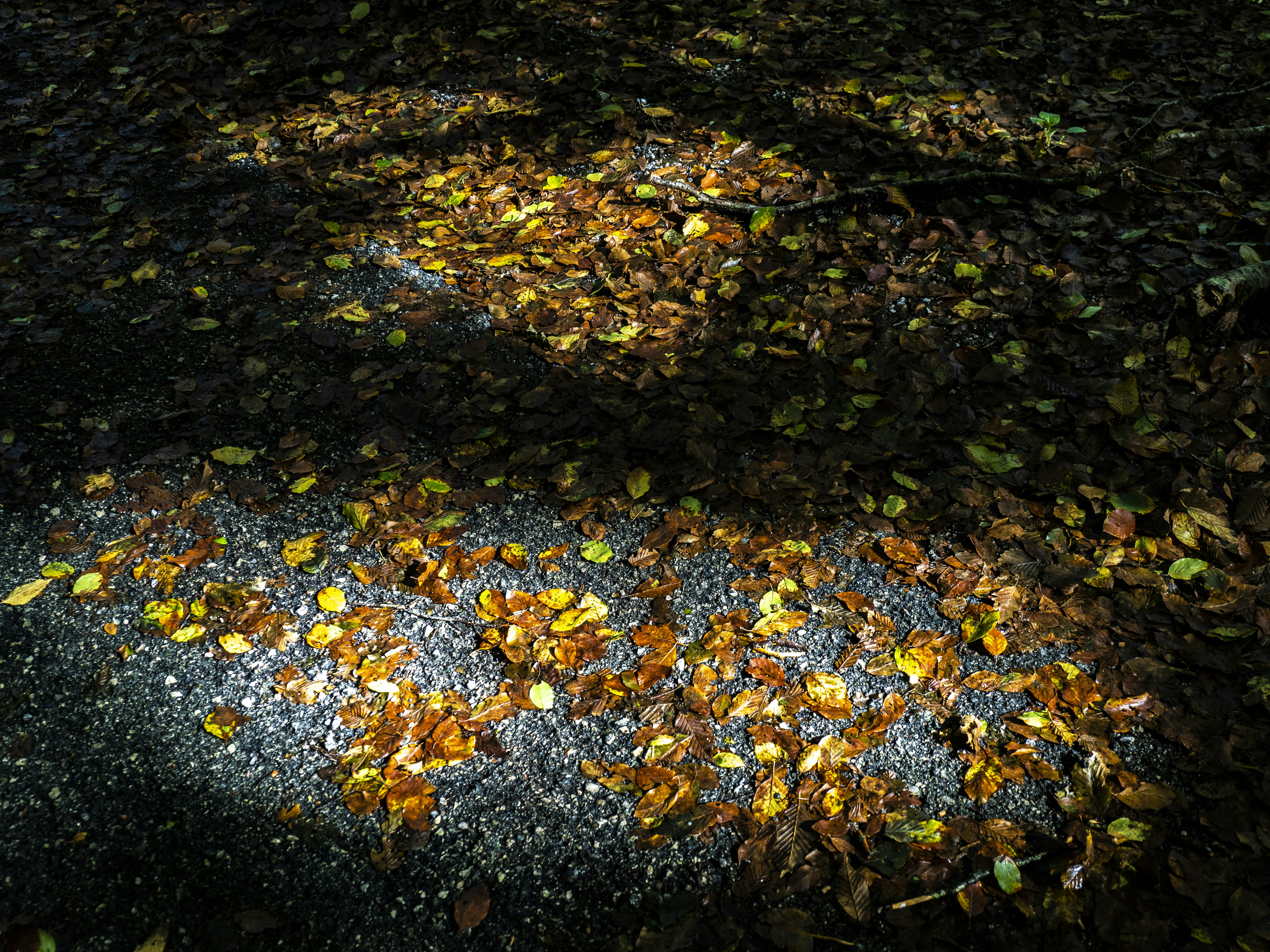 Photo by gopitri_prem