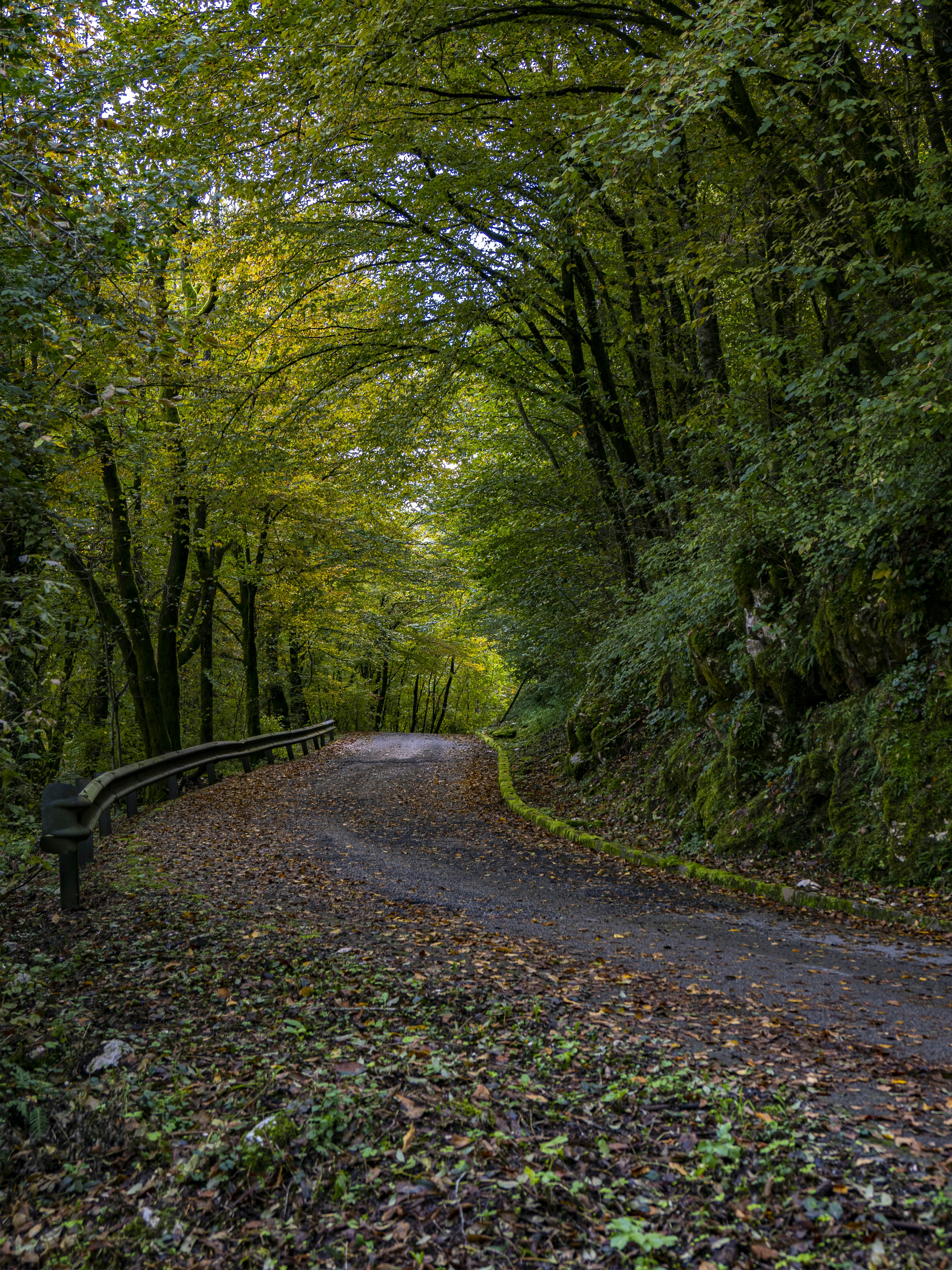 Photo by gopitri_prem