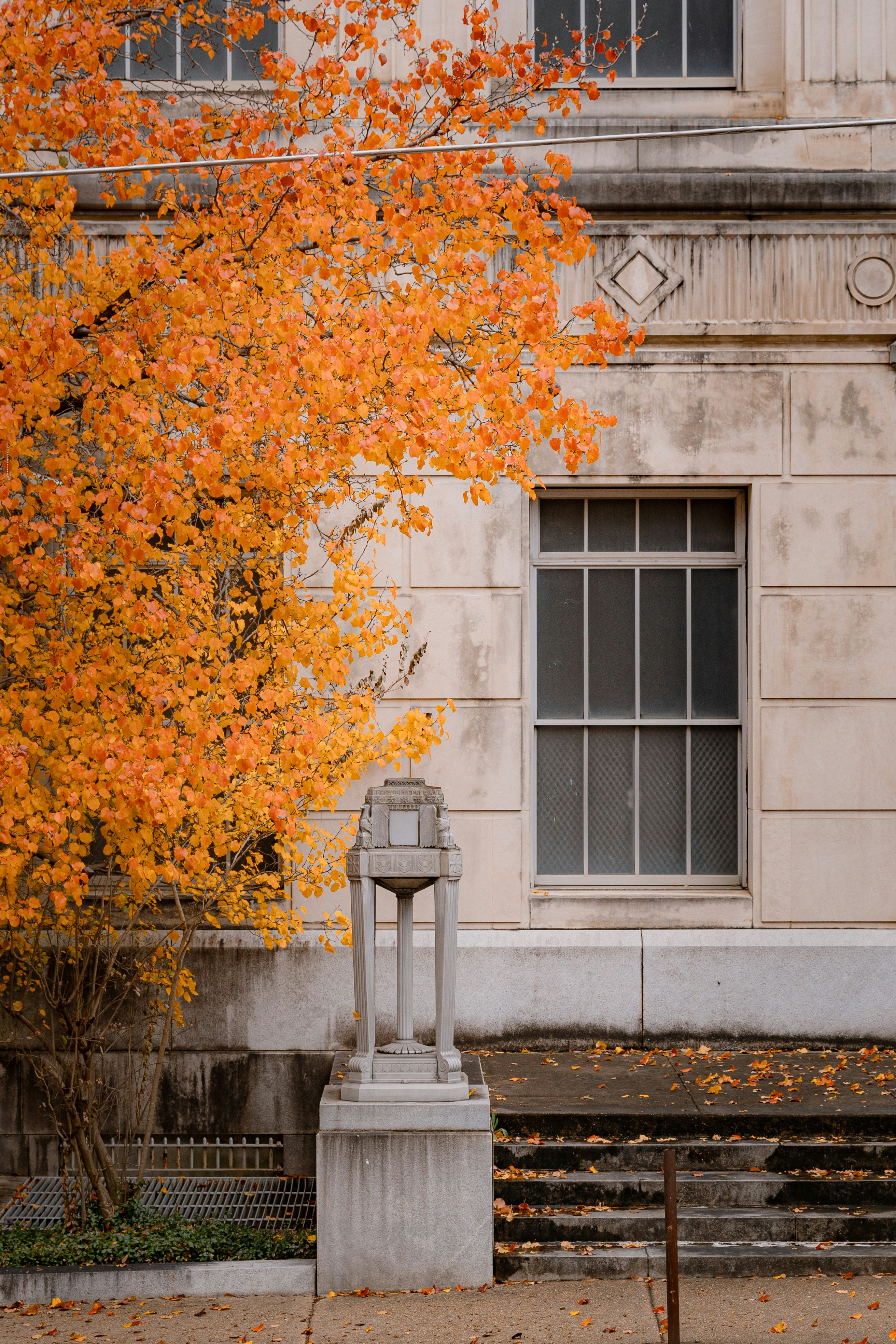 A bench in front of a building with a tree in front of it