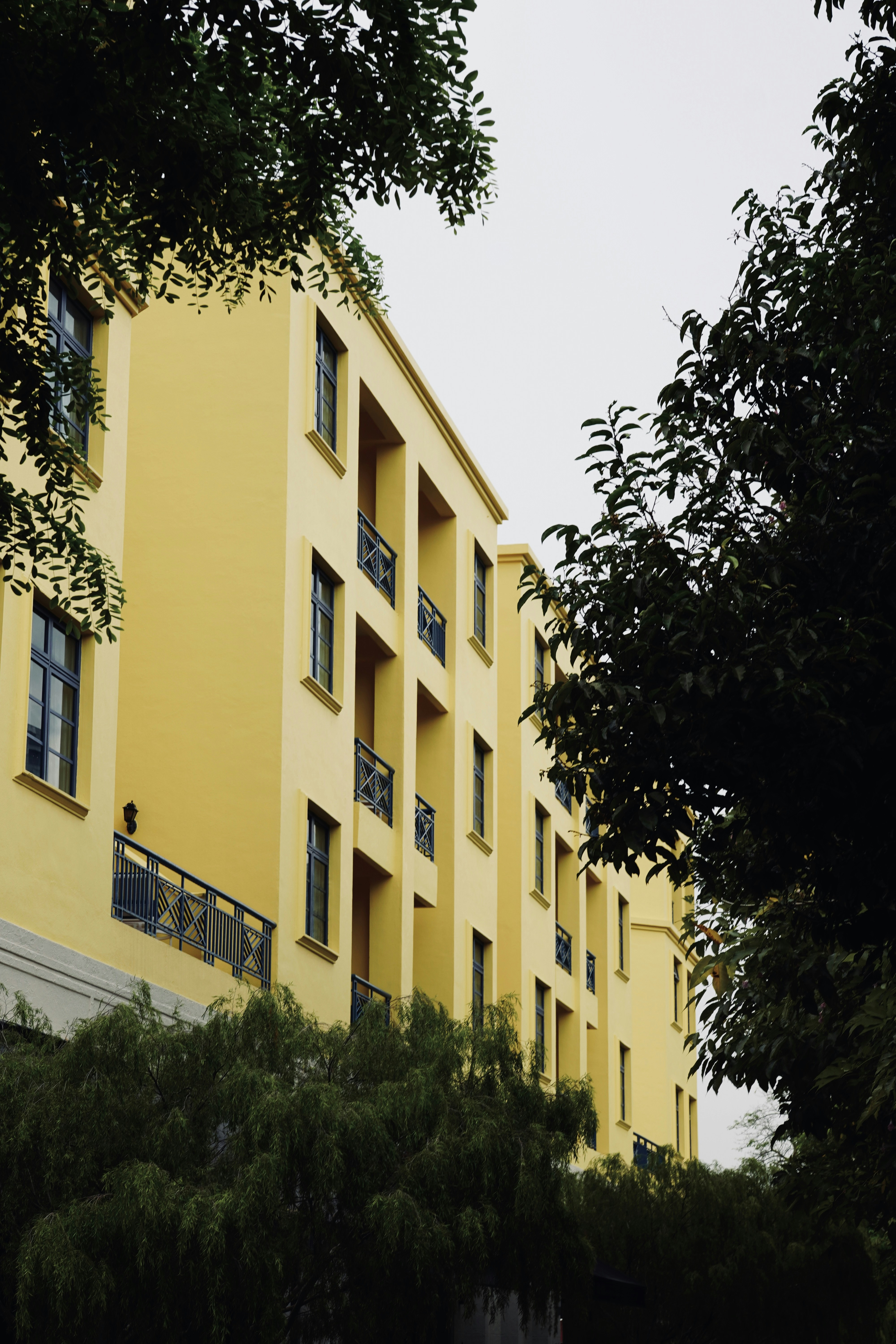 Photo by rahuldesignweb3