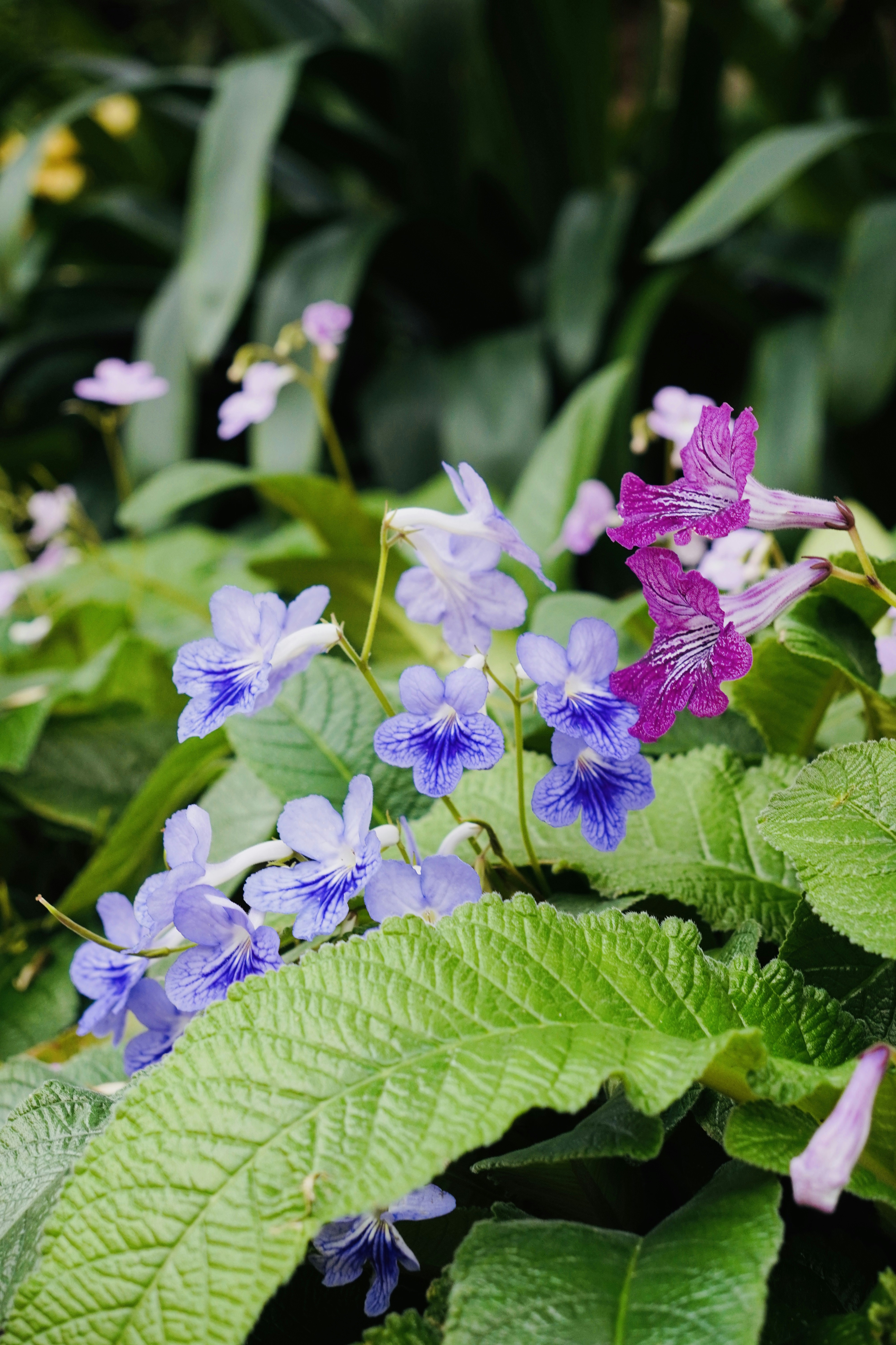 Photo by rahuldesignweb3