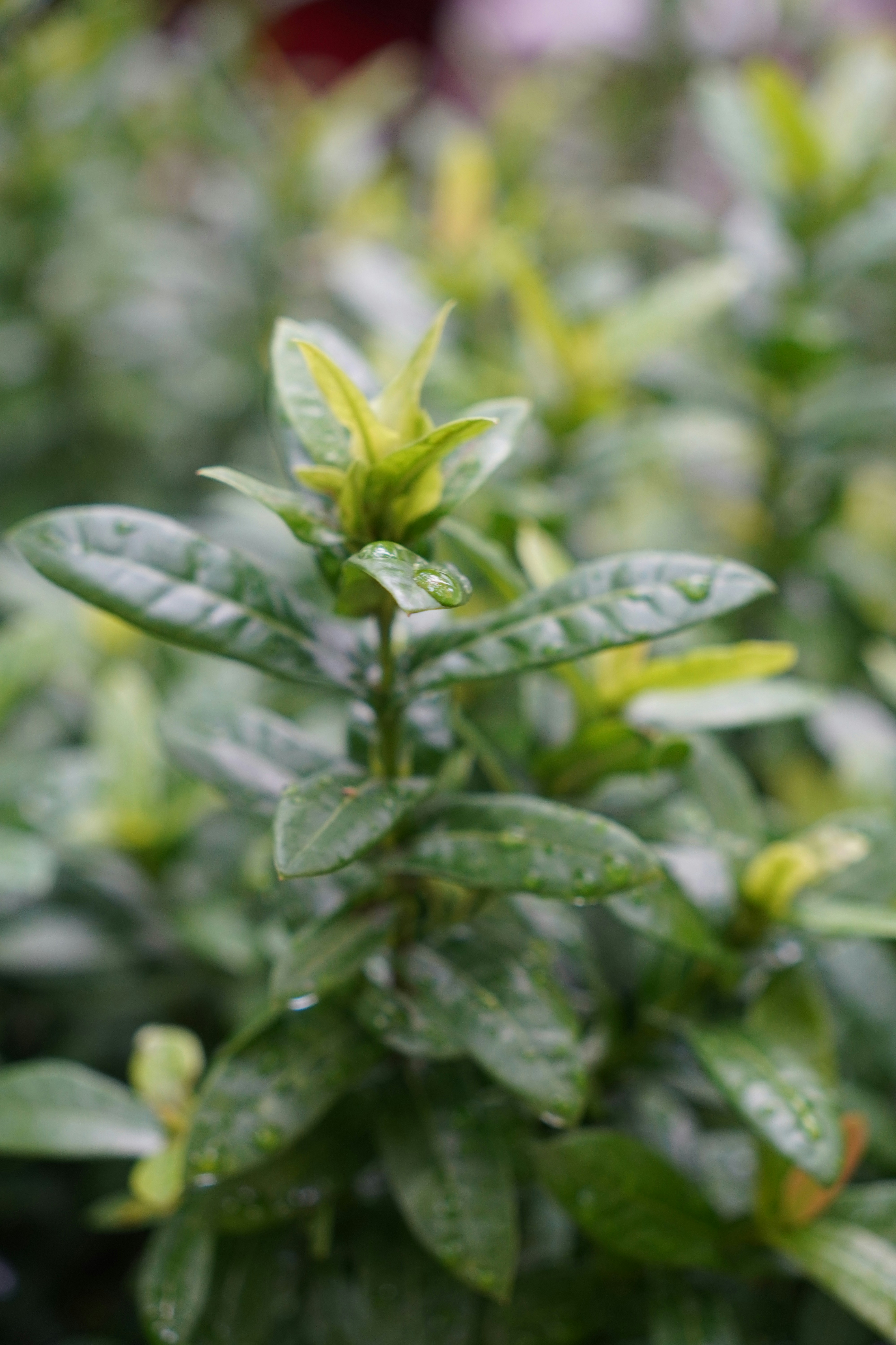 Photo by rahuldesignweb3