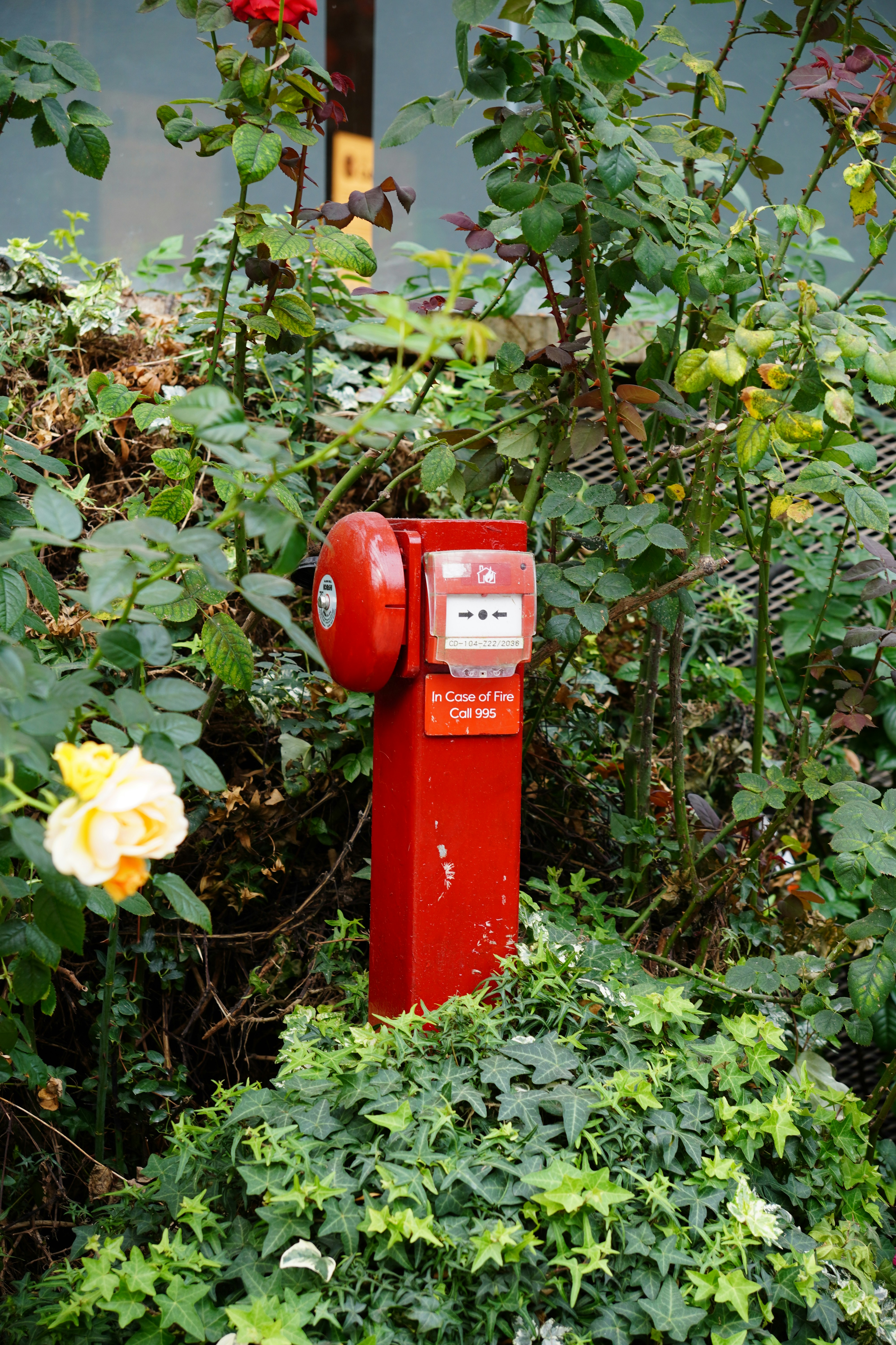 Photo by rahuldesignweb3