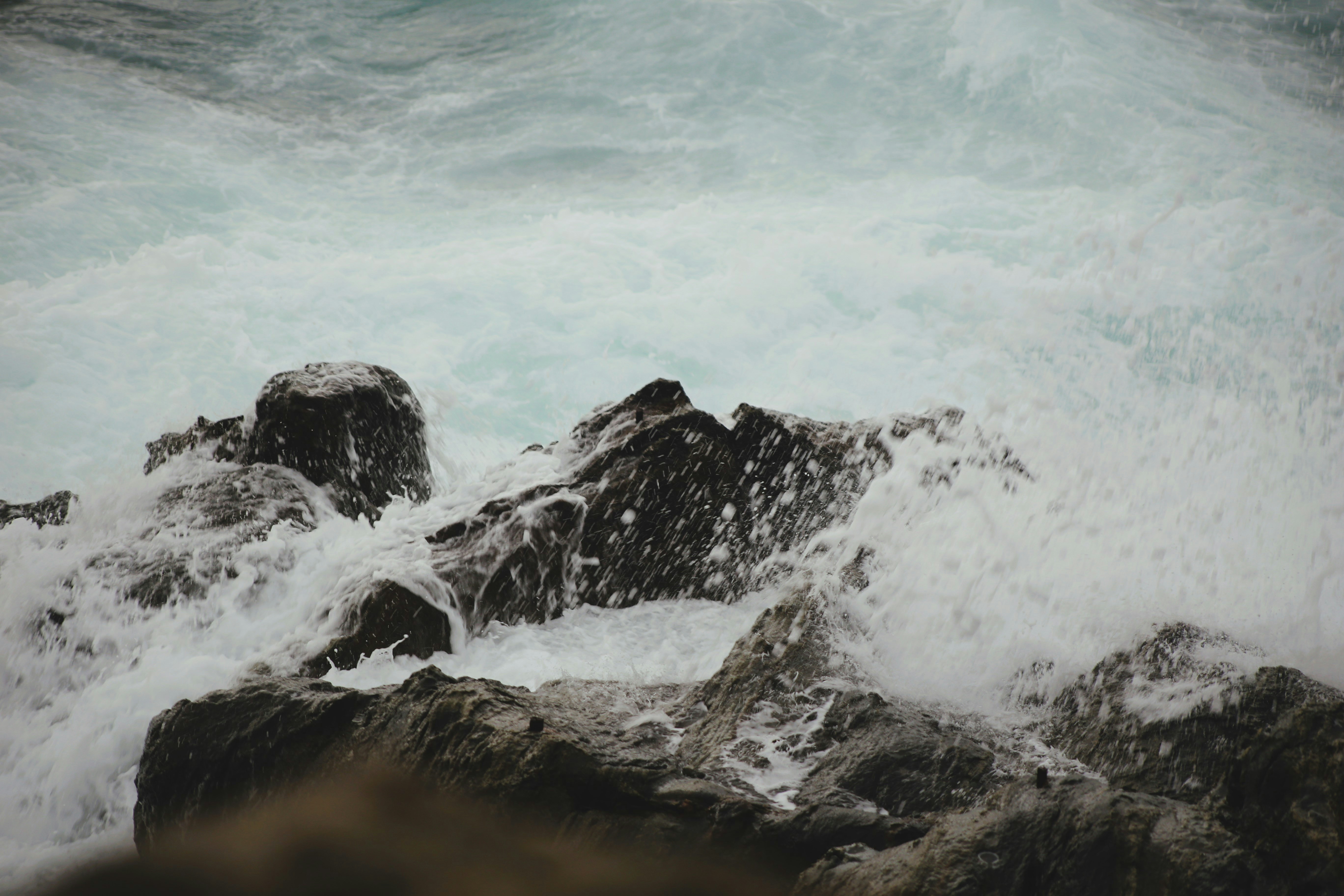 Photo by magnusmandrup