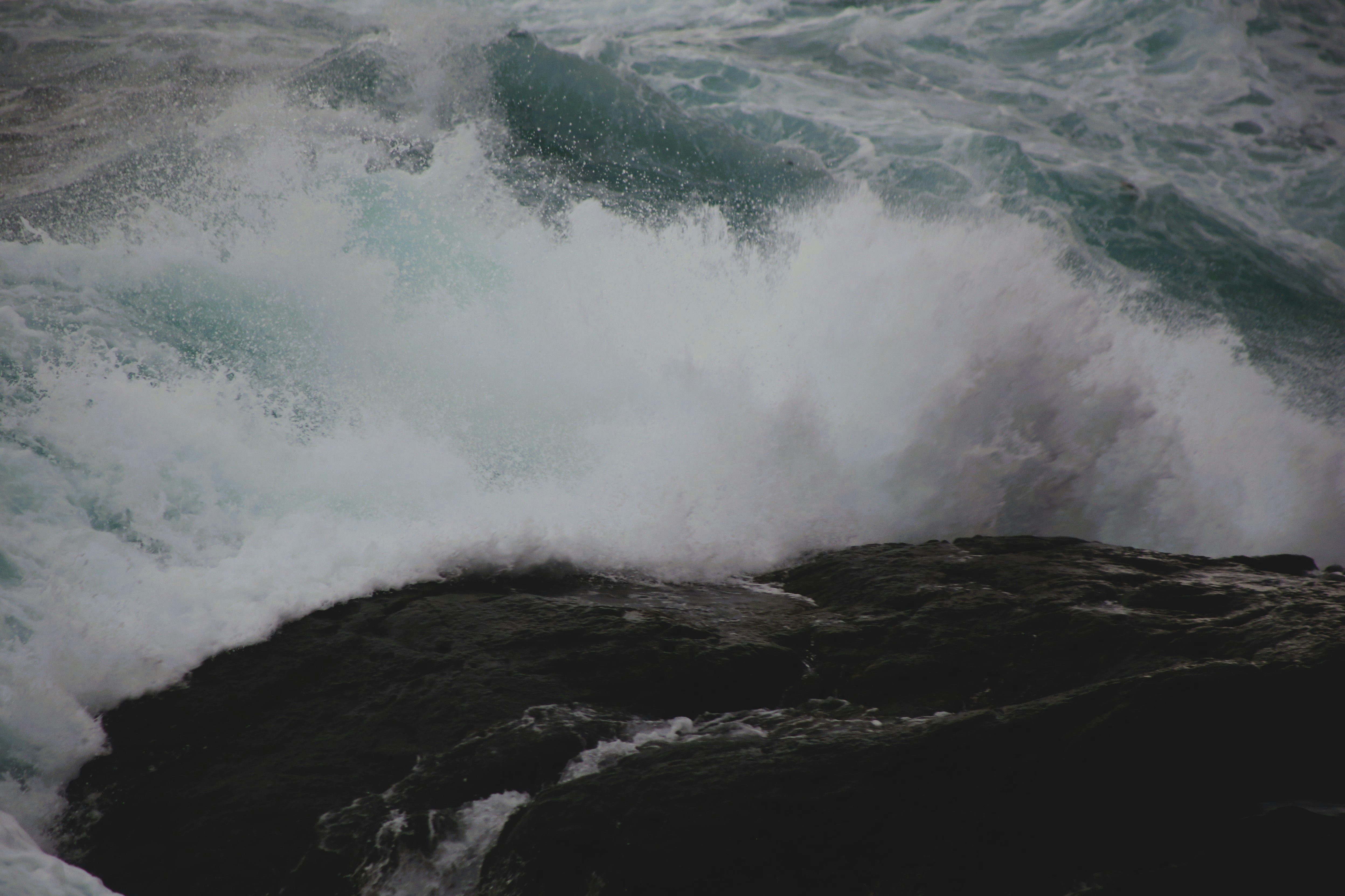 Photo by magnusmandrup