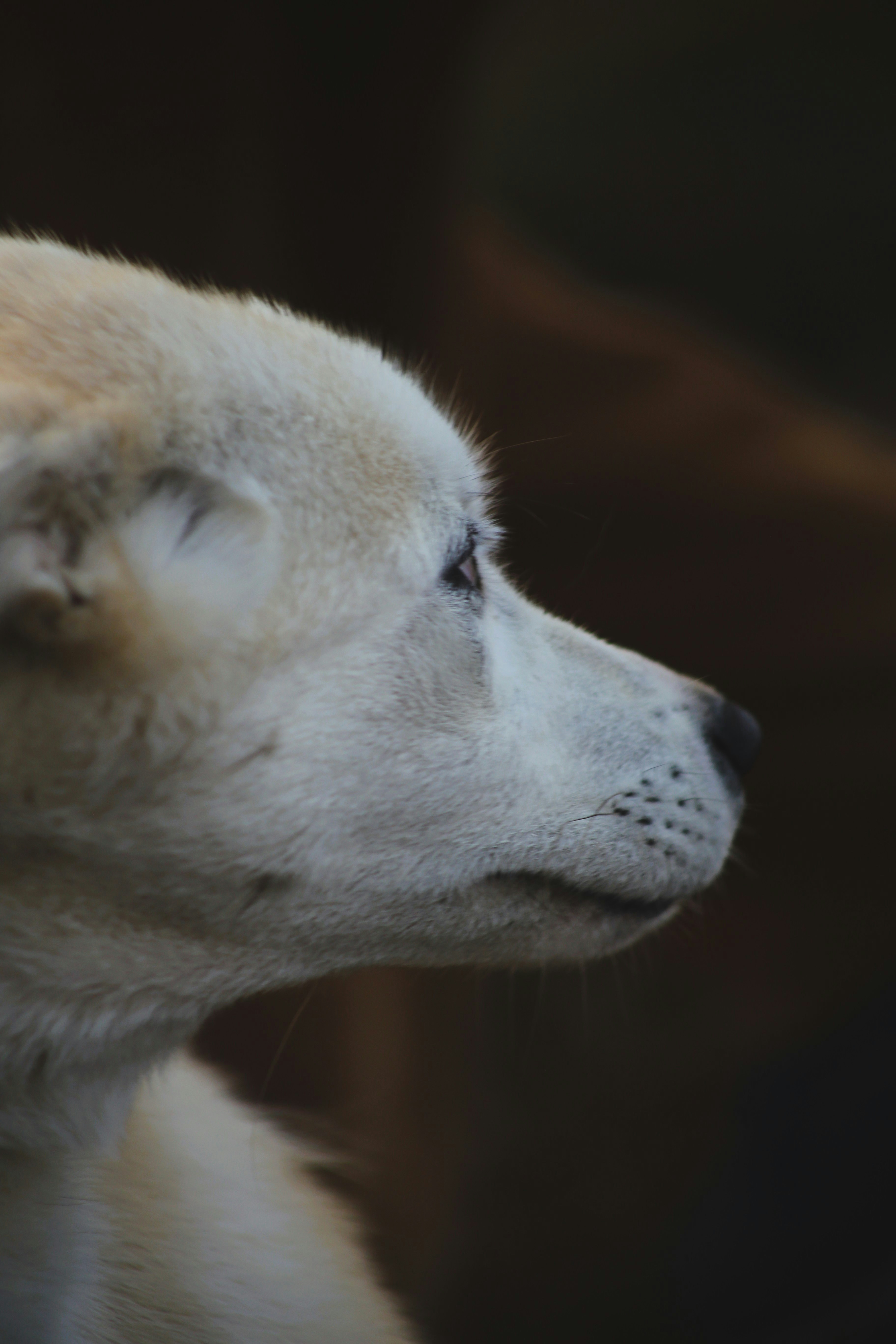 Photo by magnusmandrup