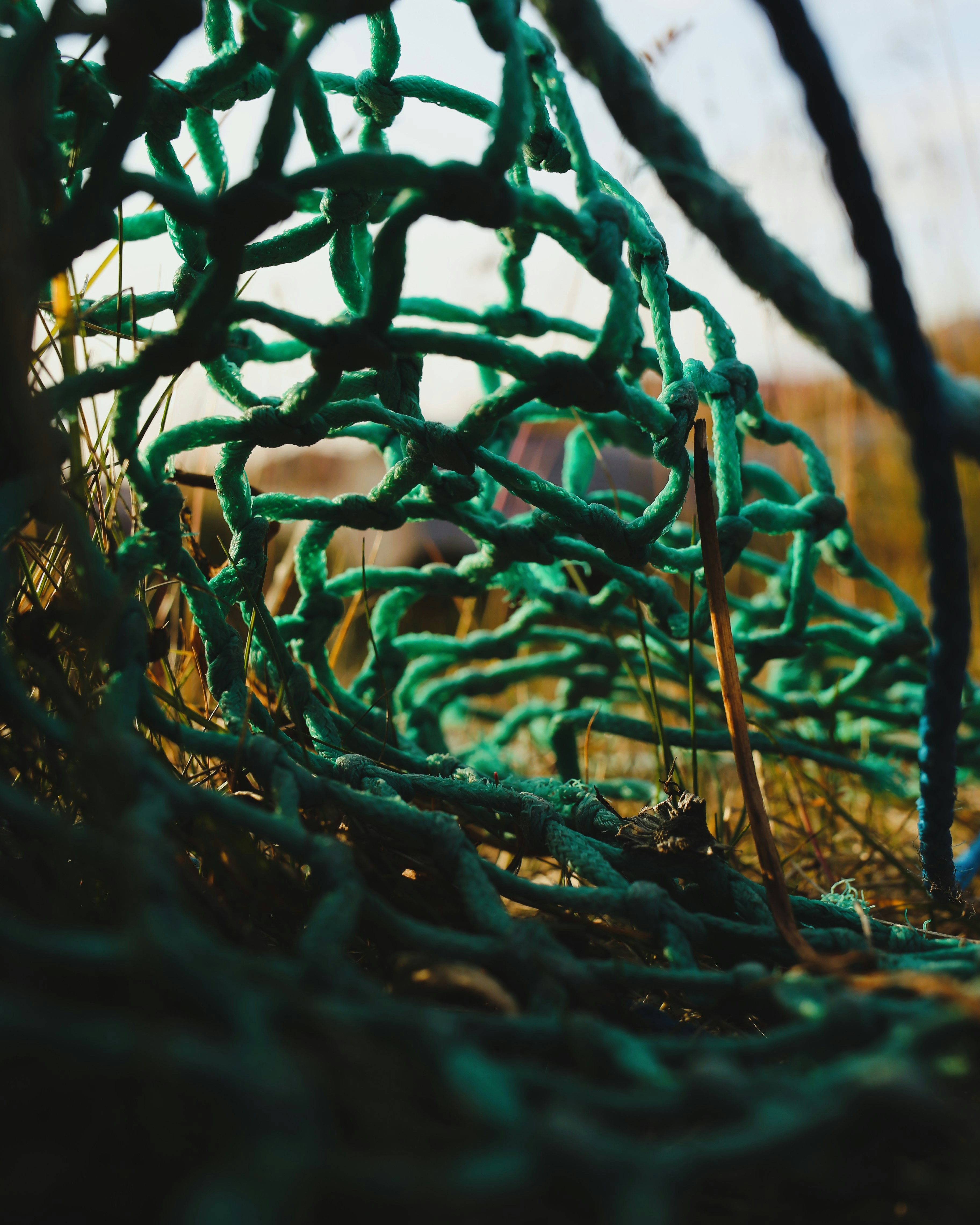 Photo by magnusmandrup