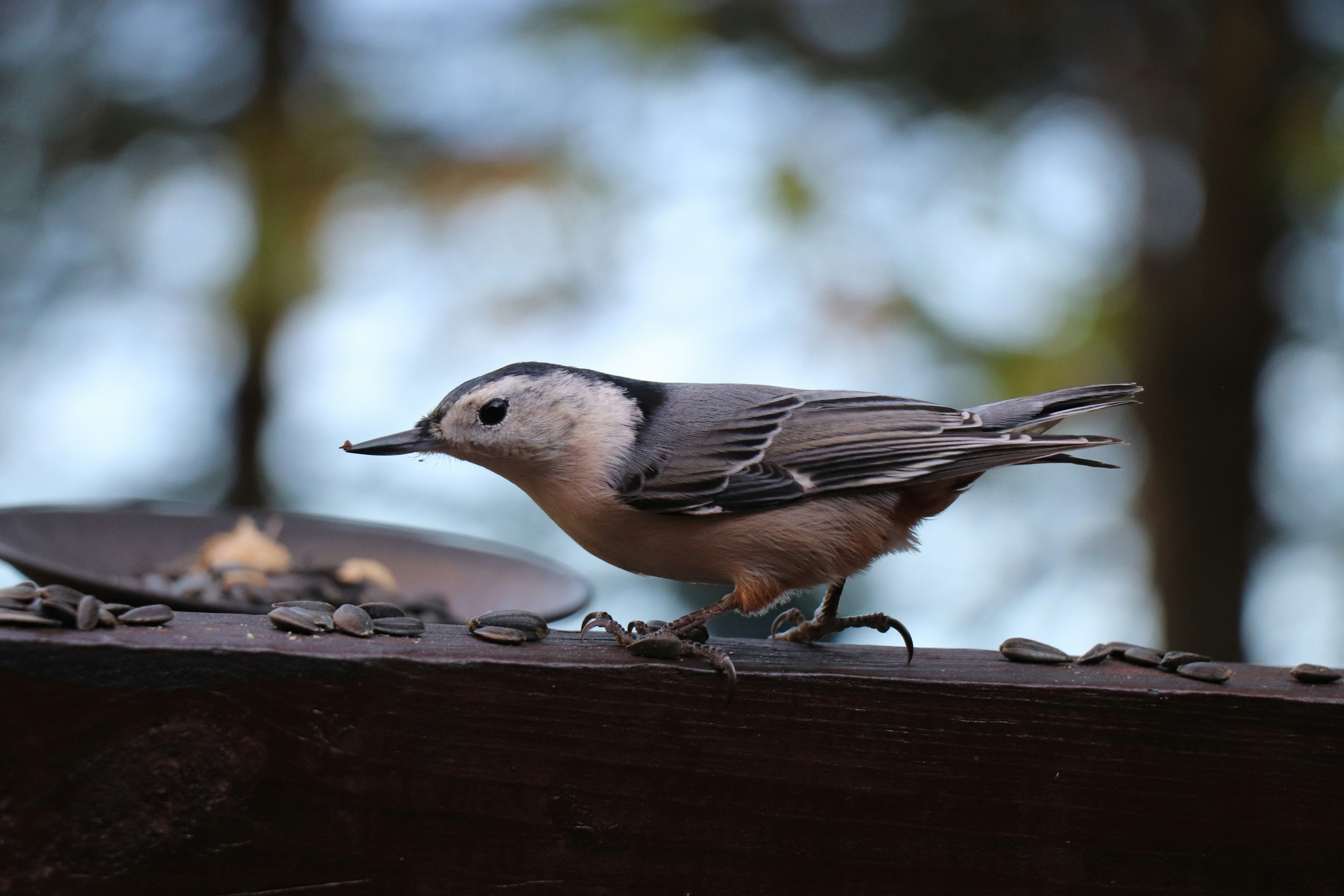 Photo by sandimagerart