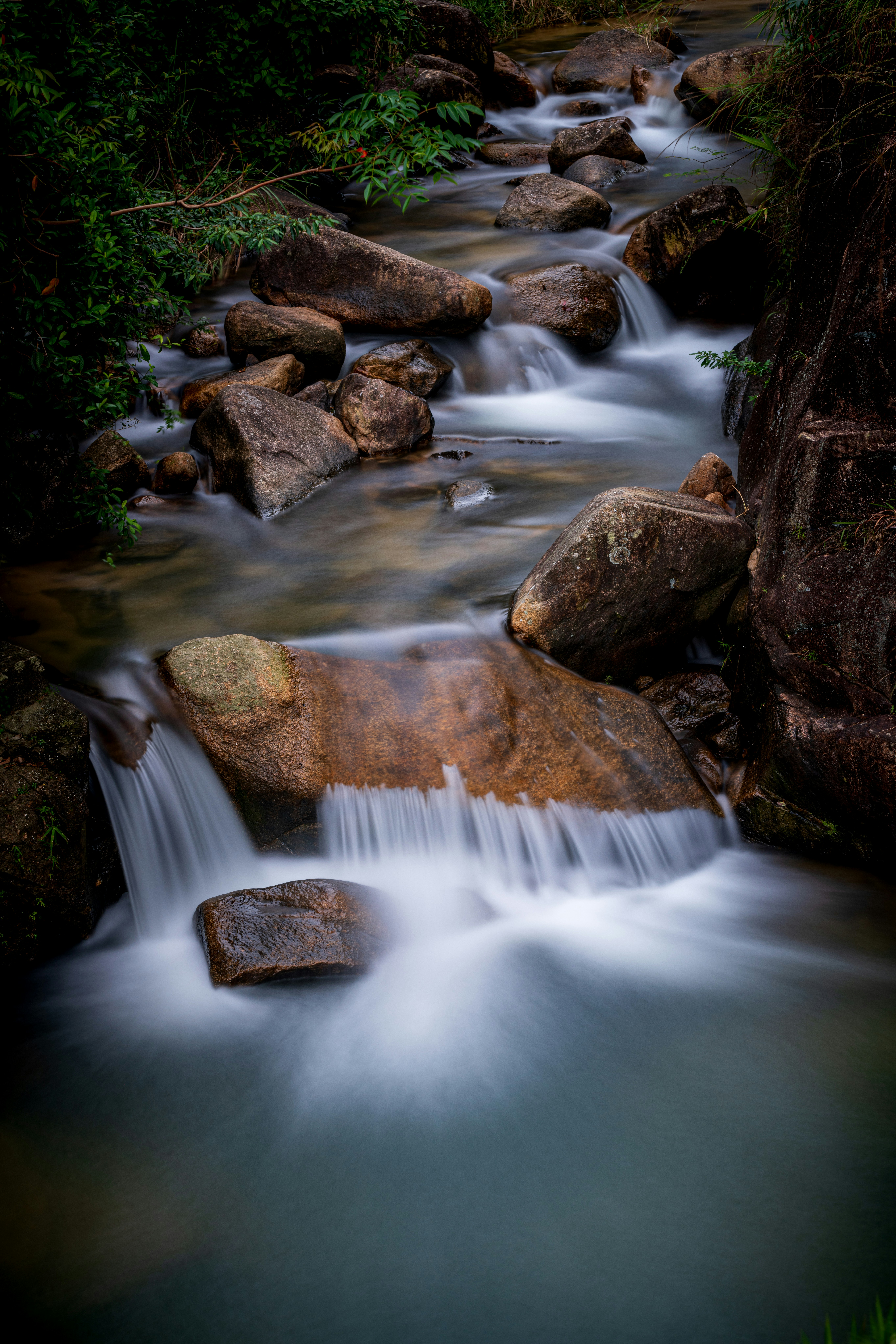 Photo by yangzhiyuan