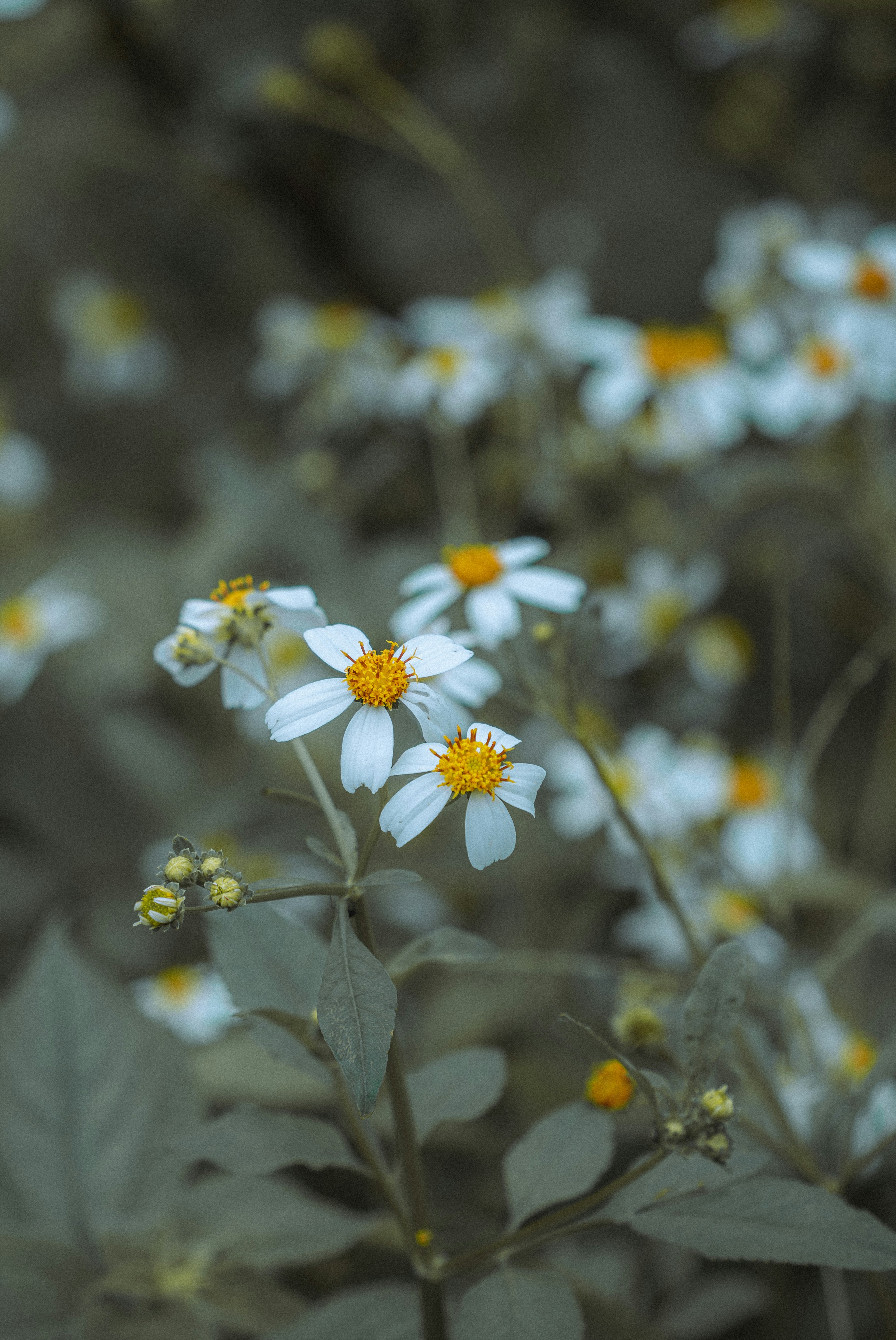 Photo by johnnyho_ho