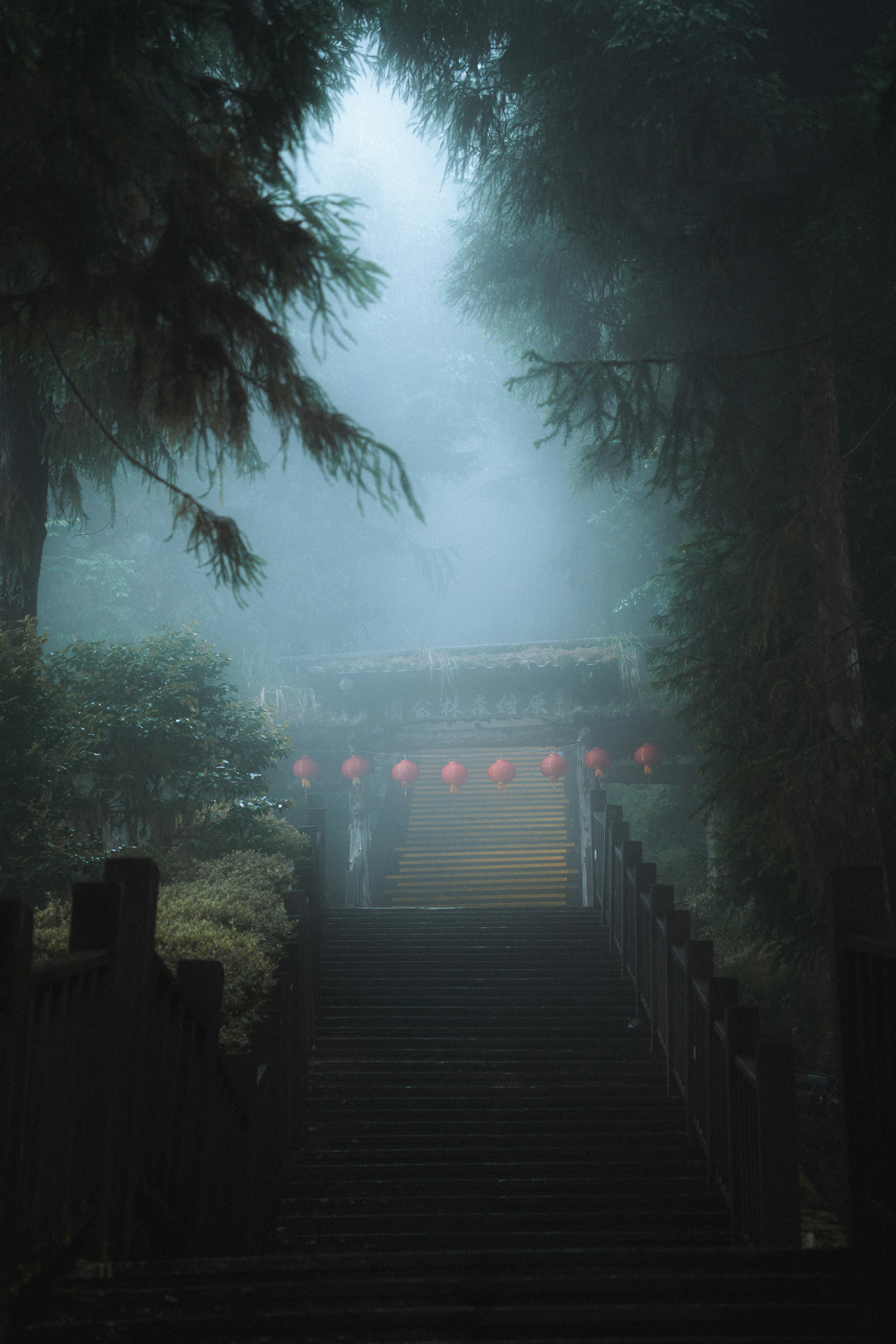 Photo by johnnyho_ho