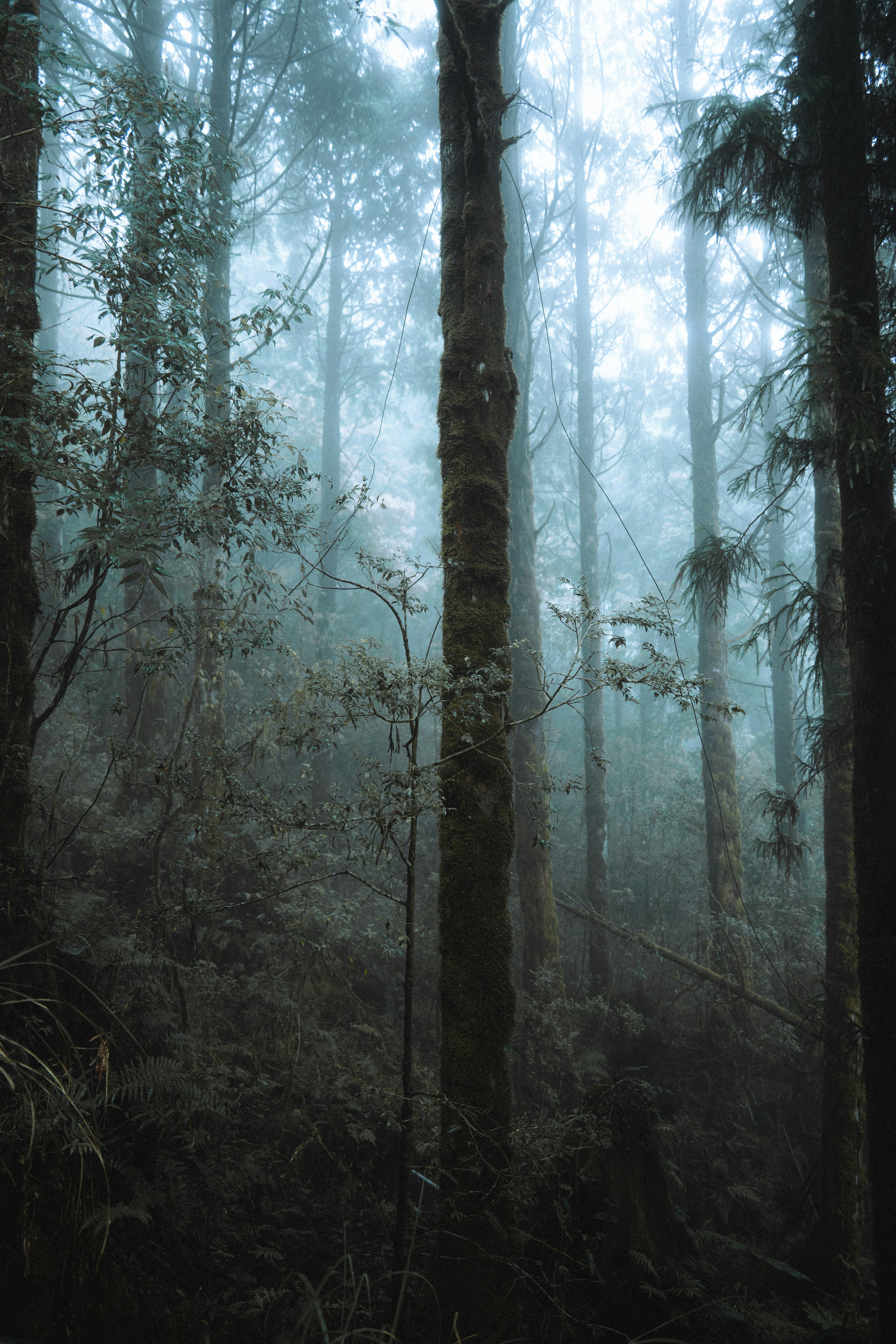 Photo by johnnyho_ho