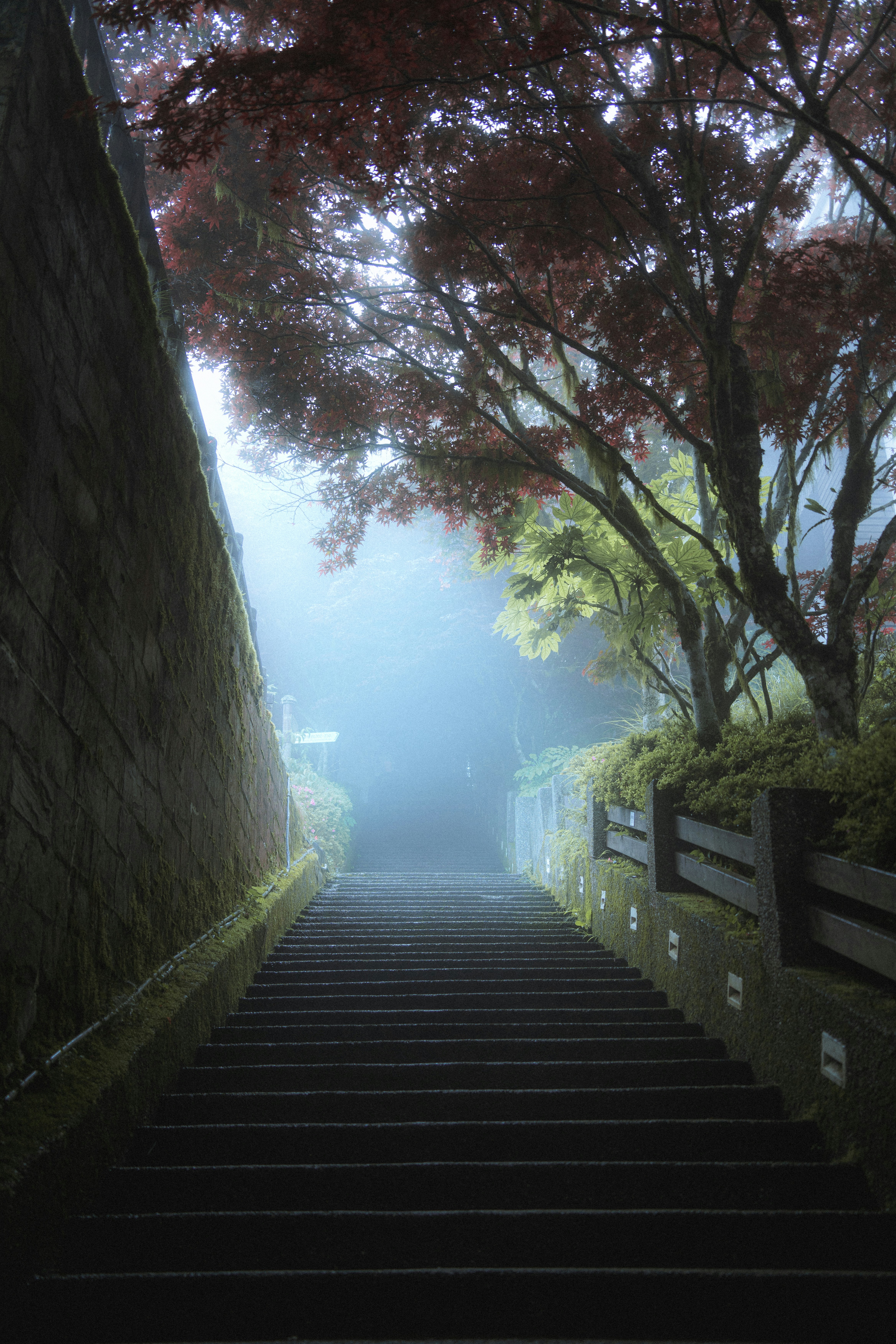 Photo by johnnyho_ho