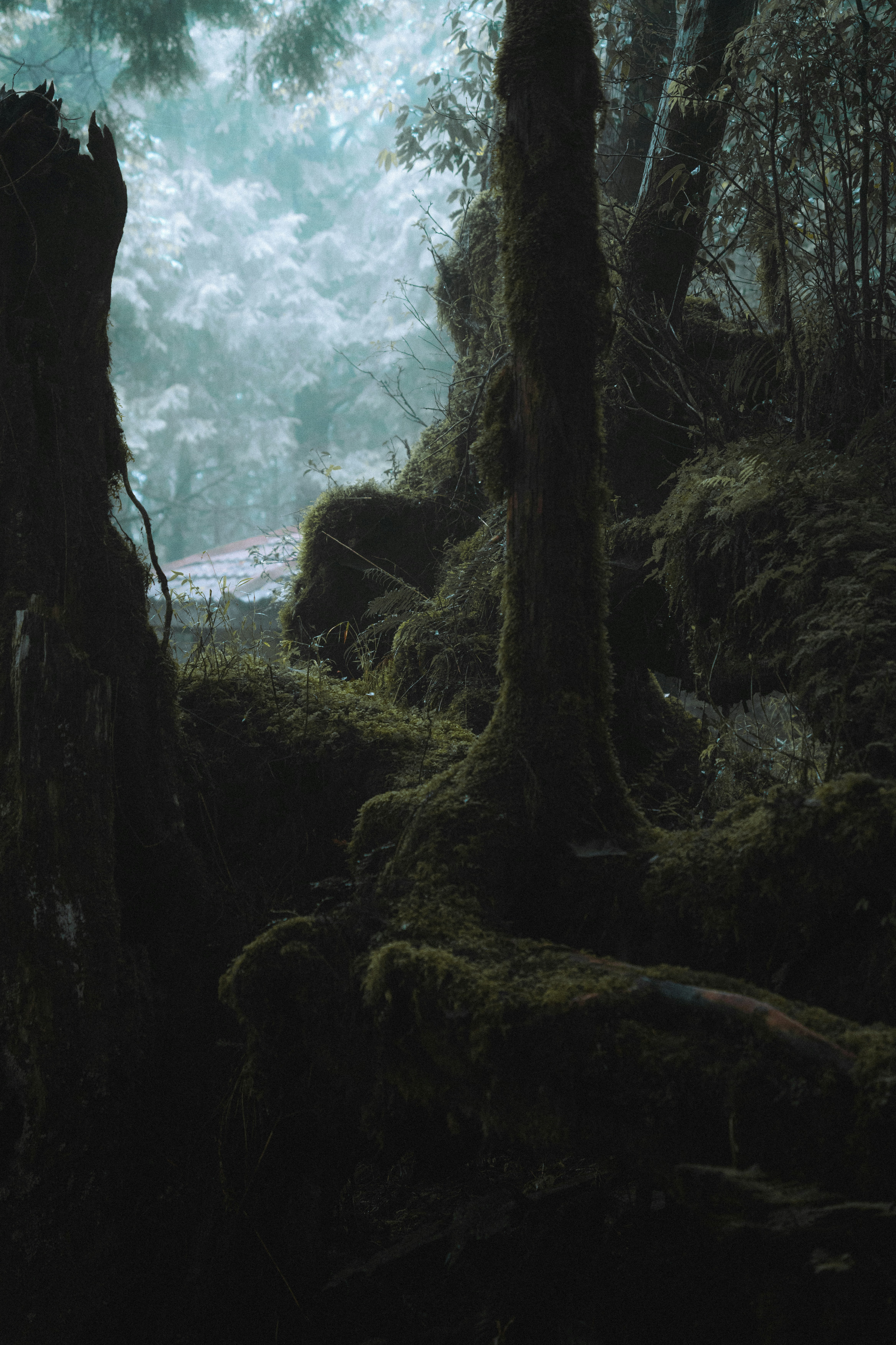 Photo by johnnyho_ho