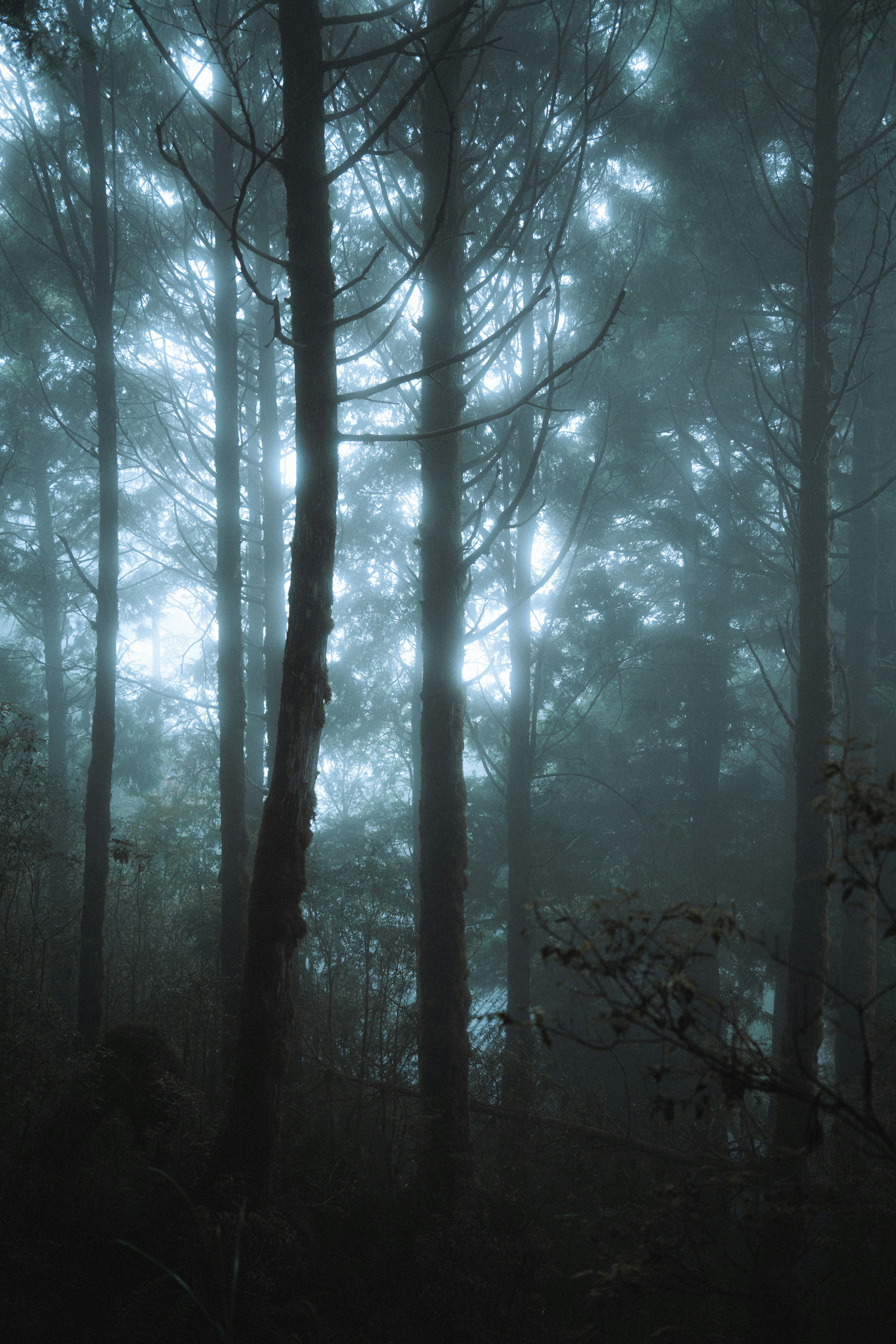 Photo by johnnyho_ho