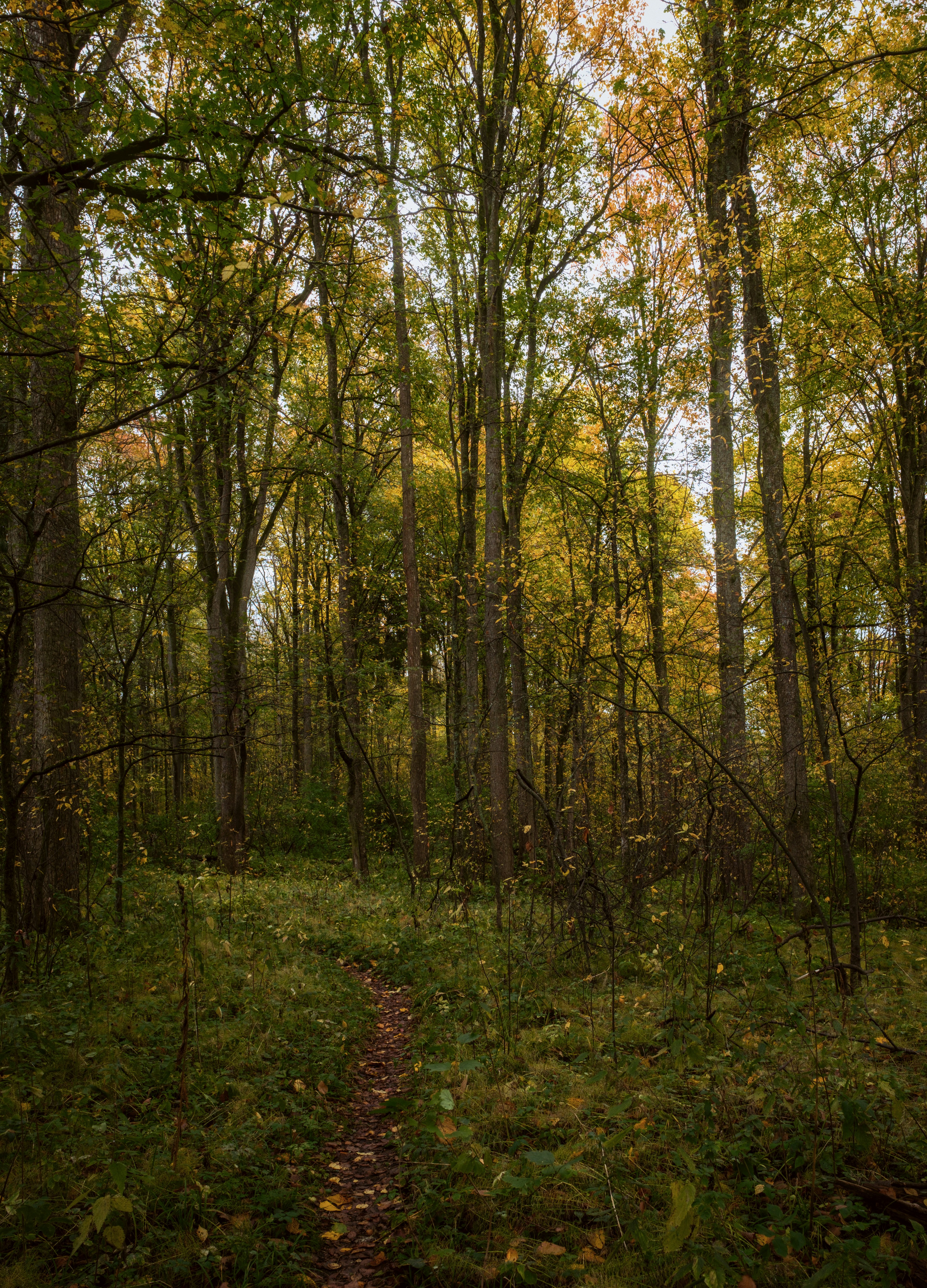 Photo by evil_bumblebee