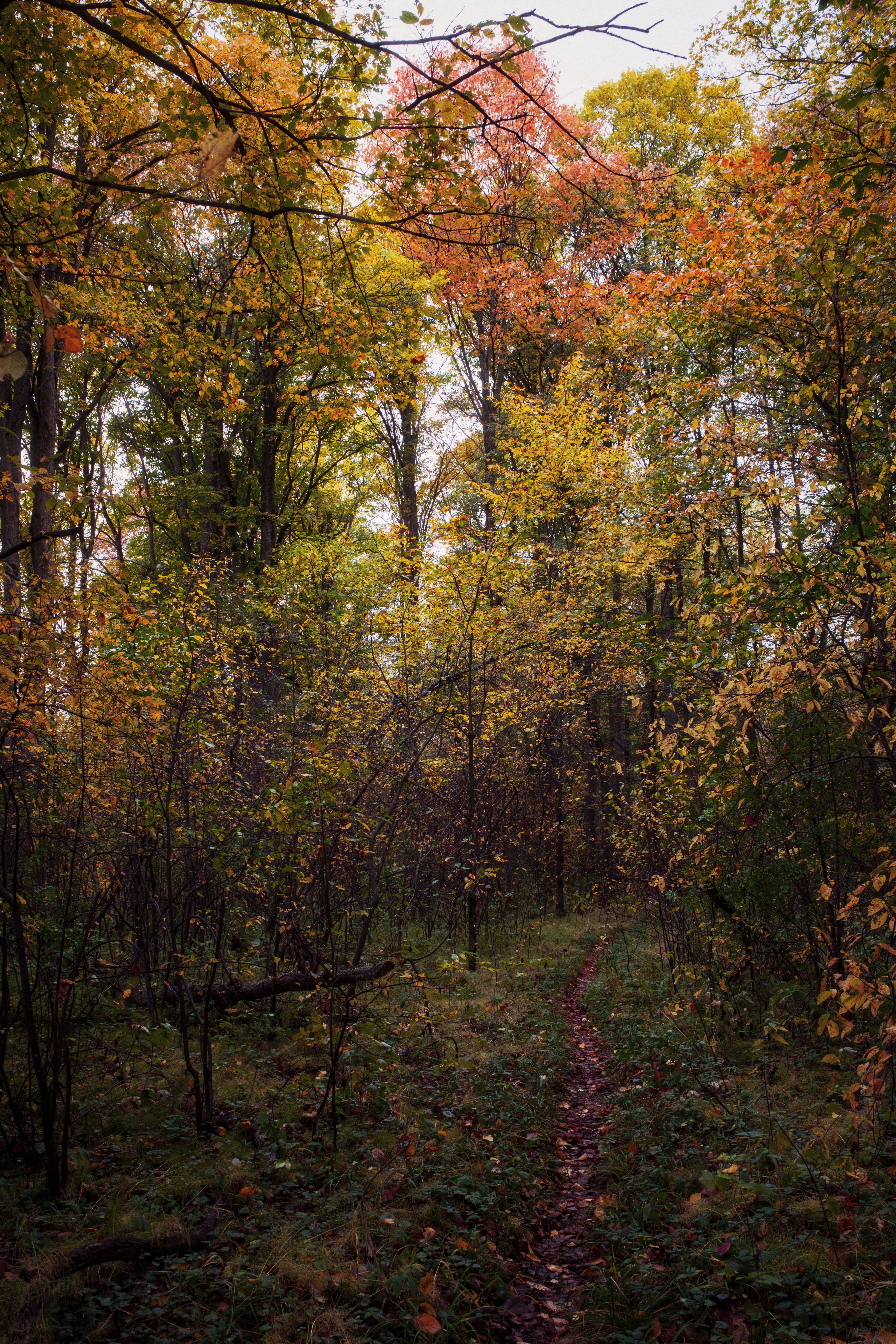 Photo by evil_bumblebee