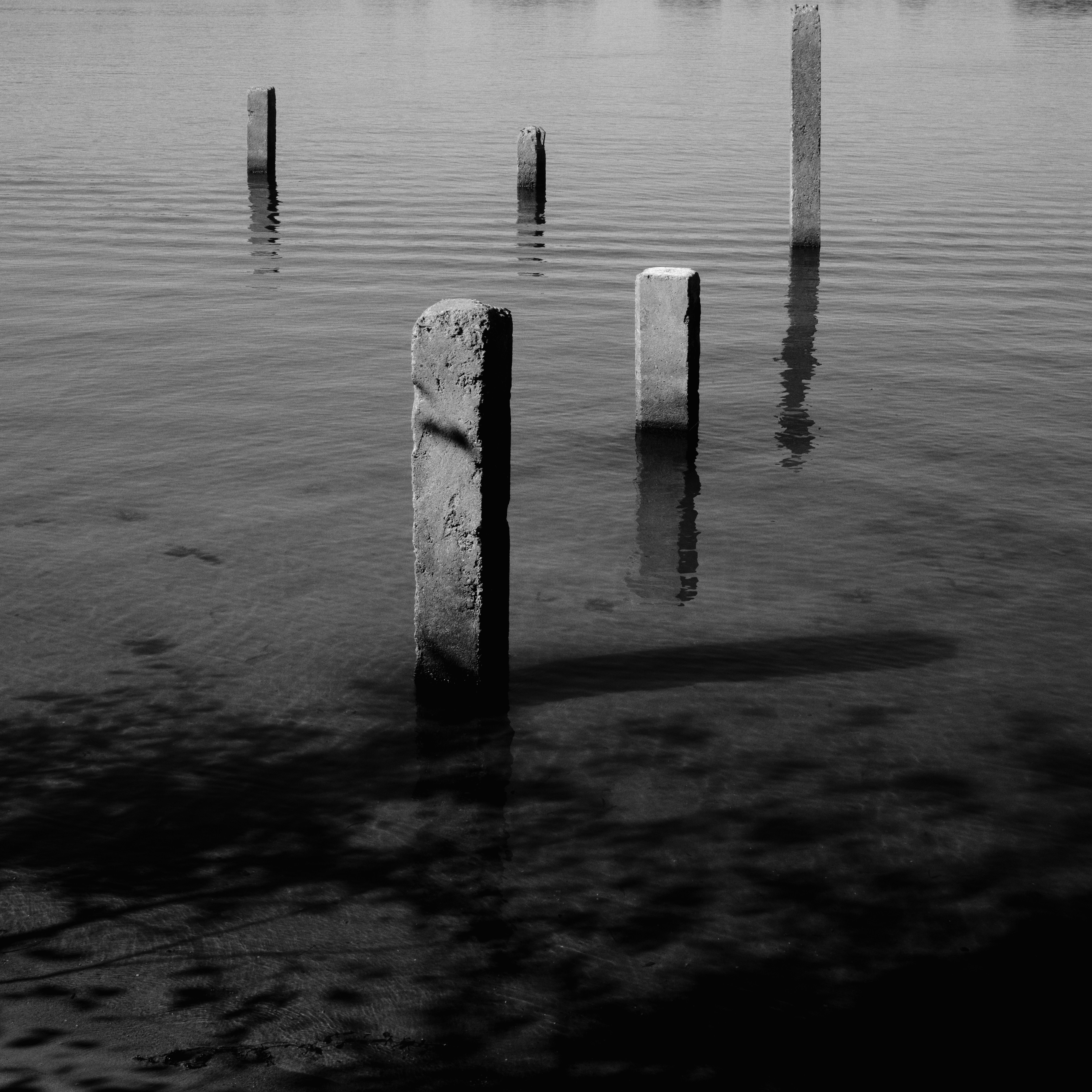 Photo by evil_bumblebee