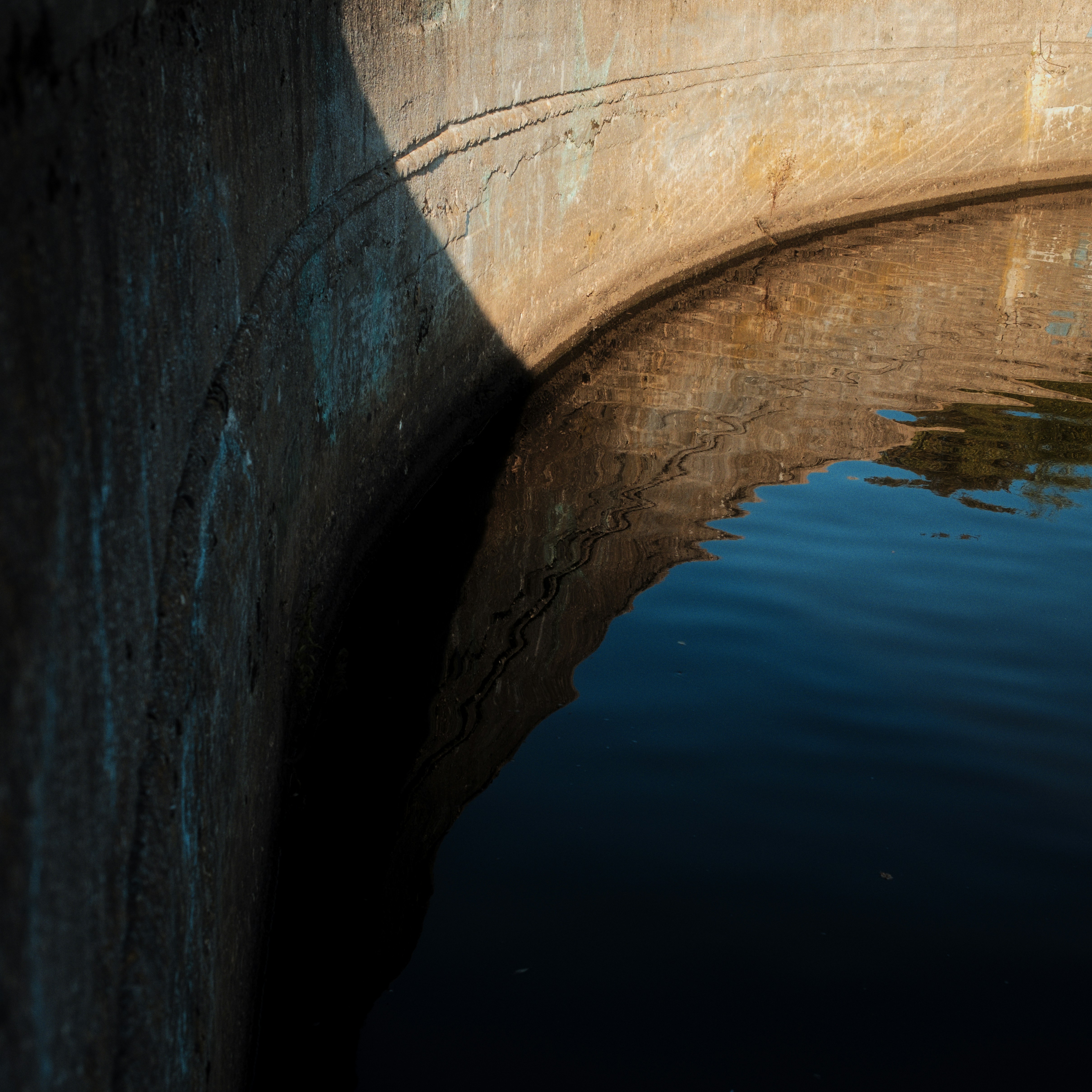 Photo by evil_bumblebee