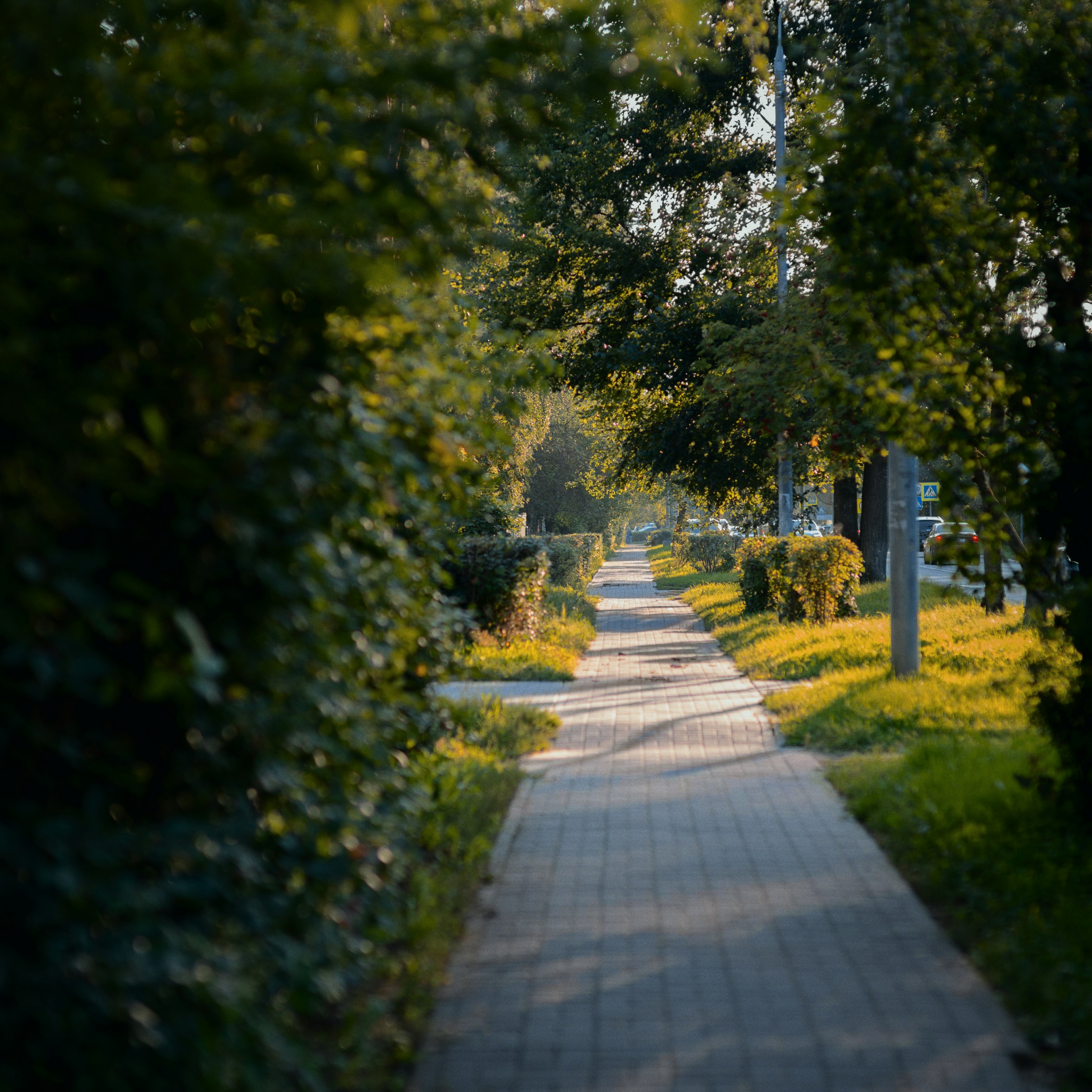 Photo by evil_bumblebee