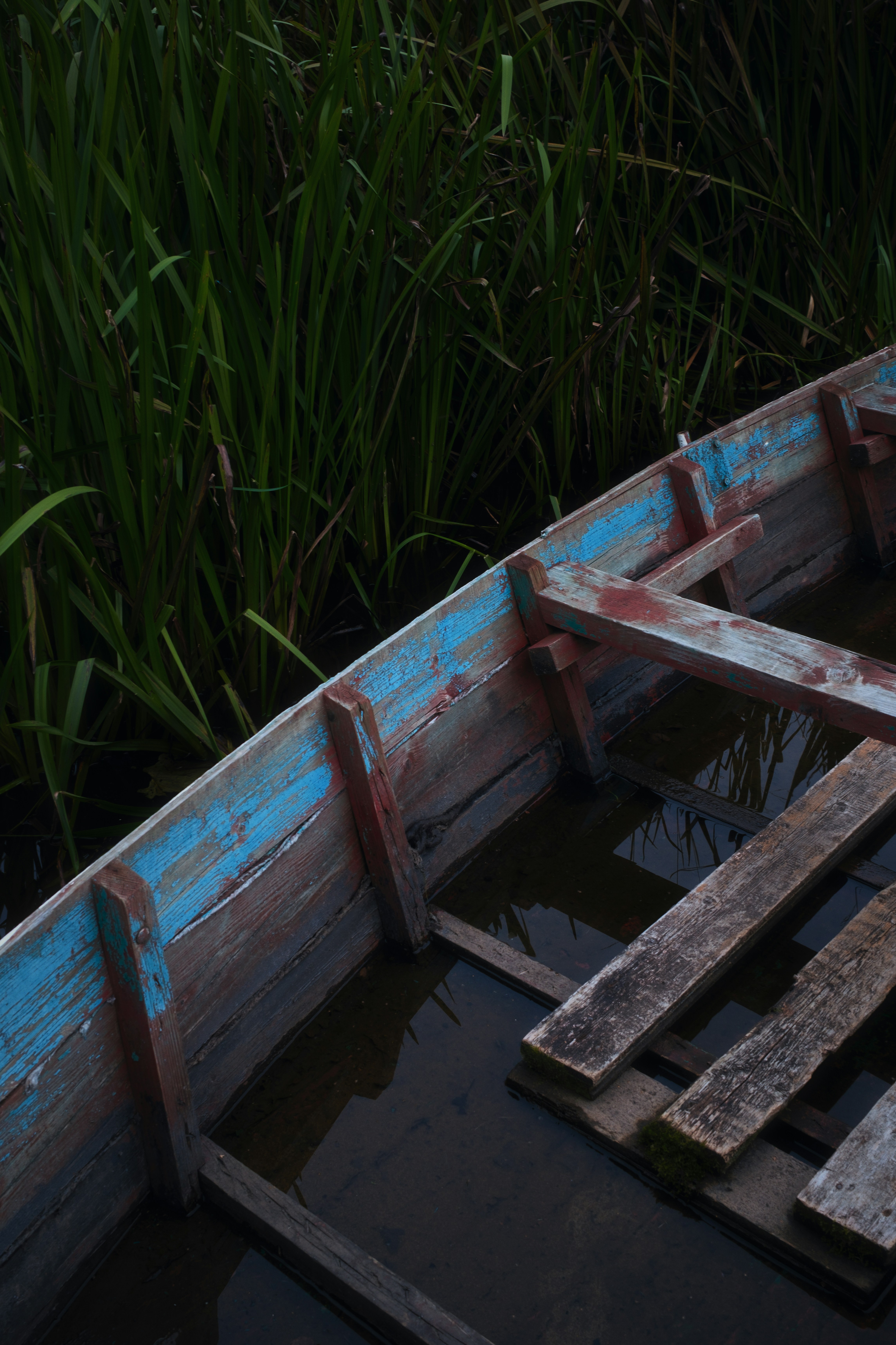 Photo by evil_bumblebee