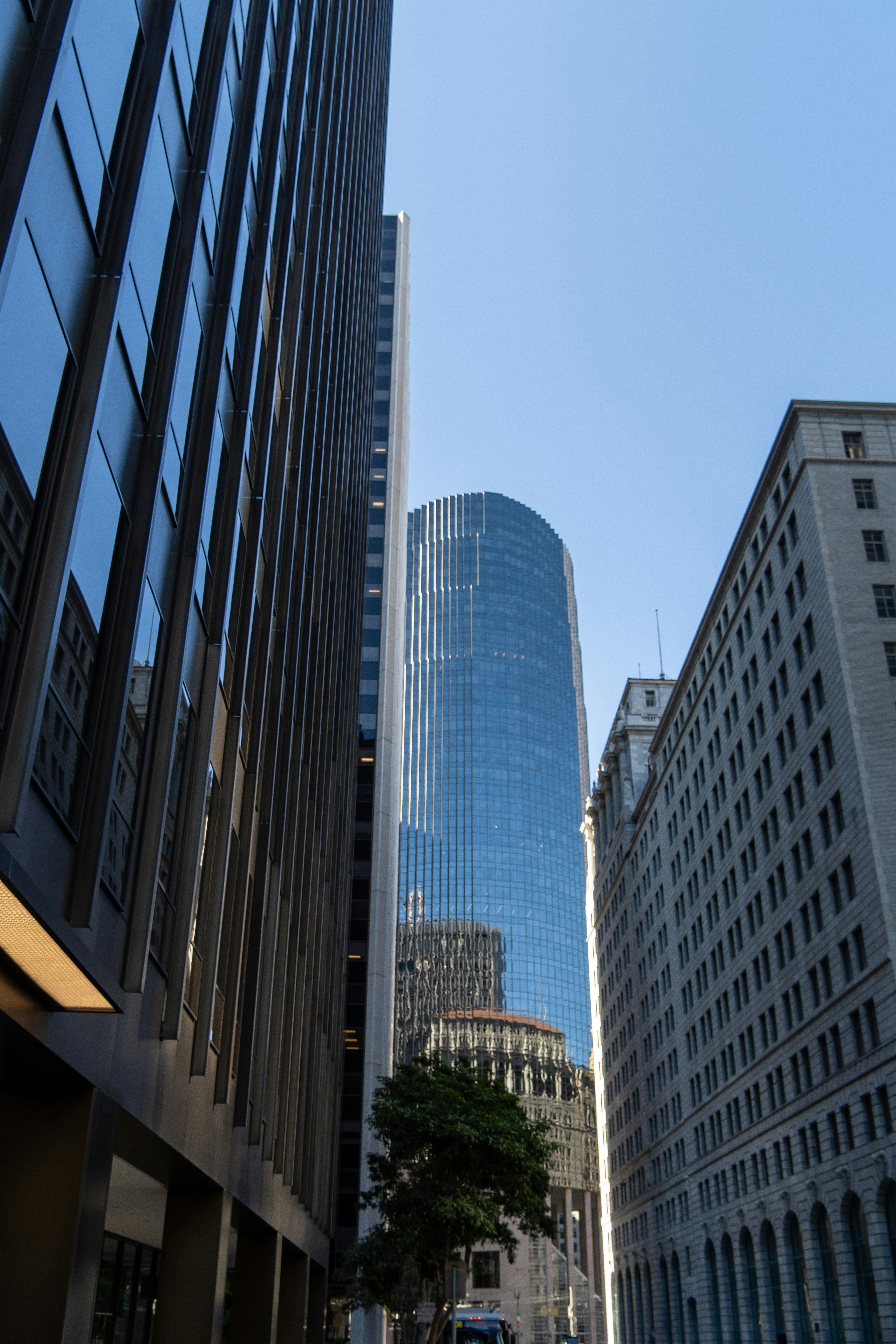 Photo by alirezamirzabegi