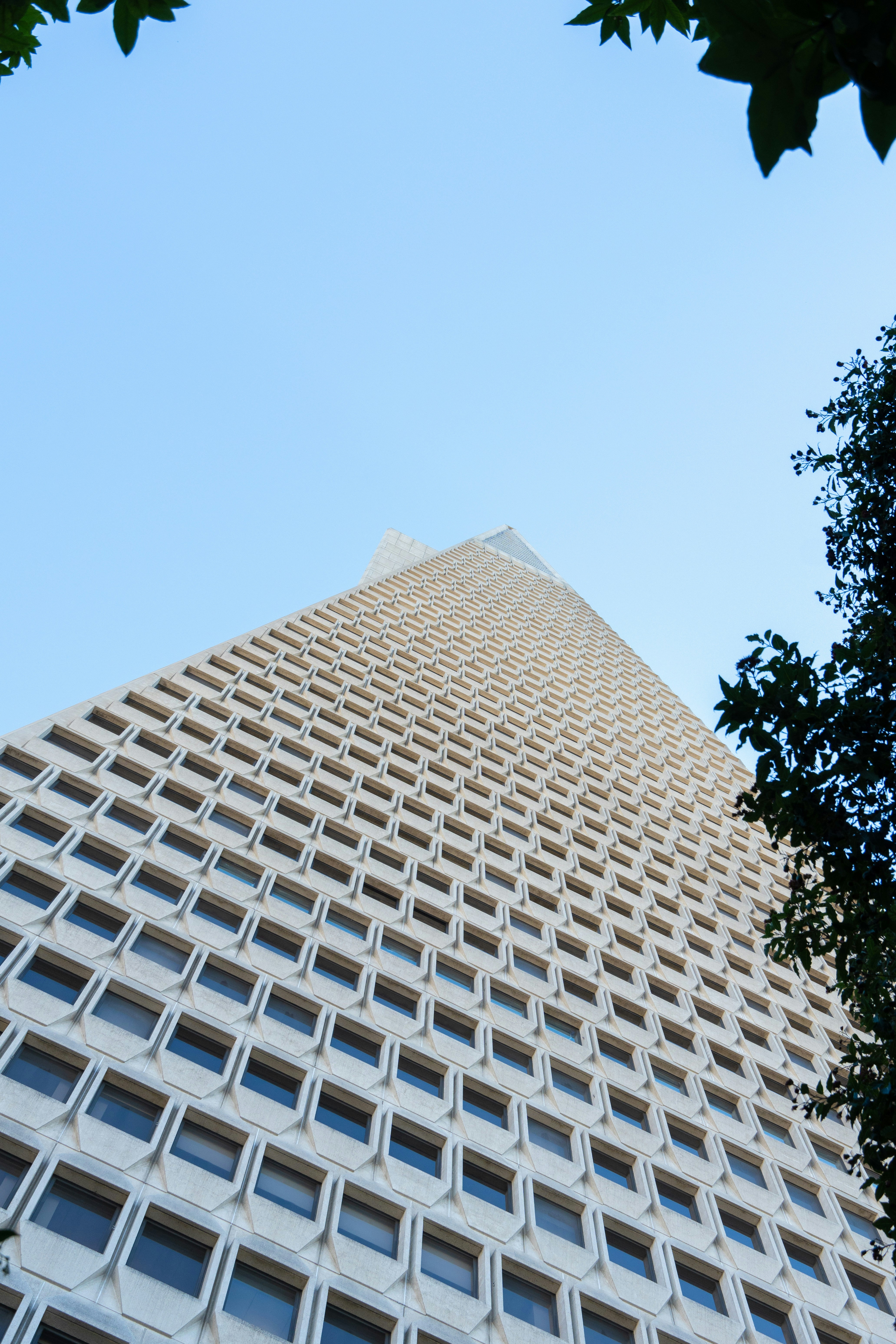 Photo by alirezamirzabegi