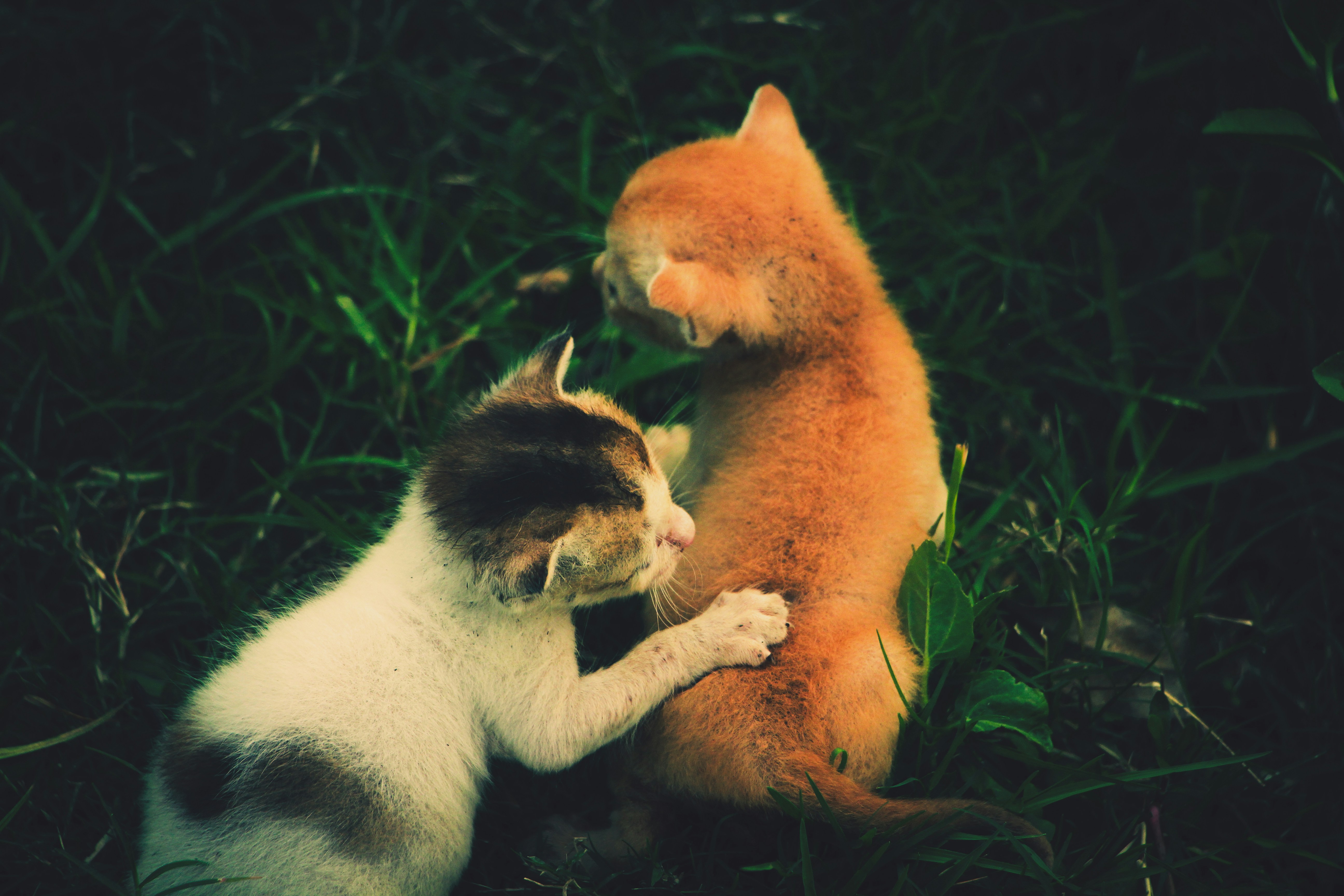 Friends-Talking-Over-Coffee