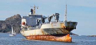 A large ship in the middle of a body of water