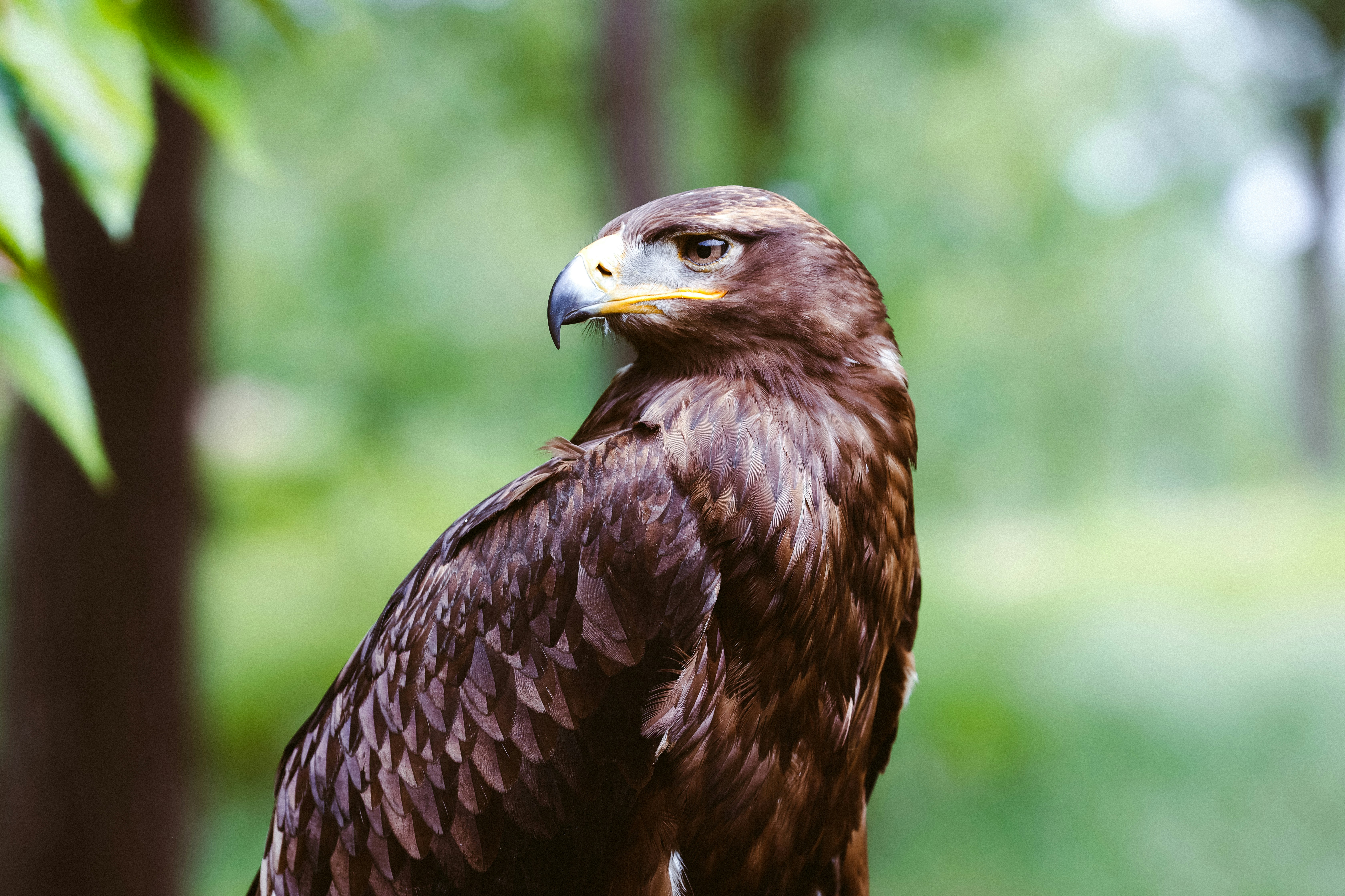 Photo by brunovdkraan