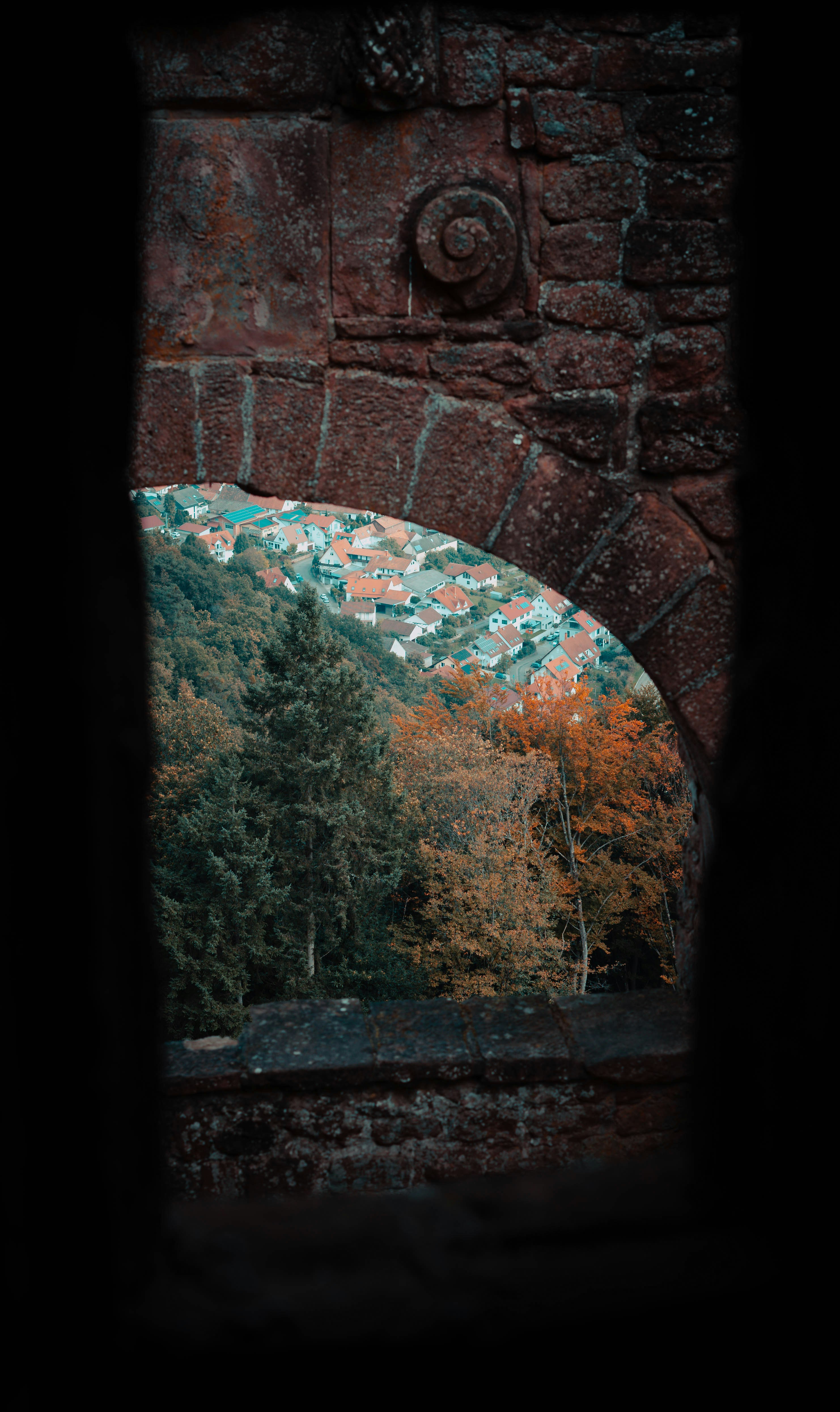 A view of a forest through a window photo – Free Autumn Image on Unsplash