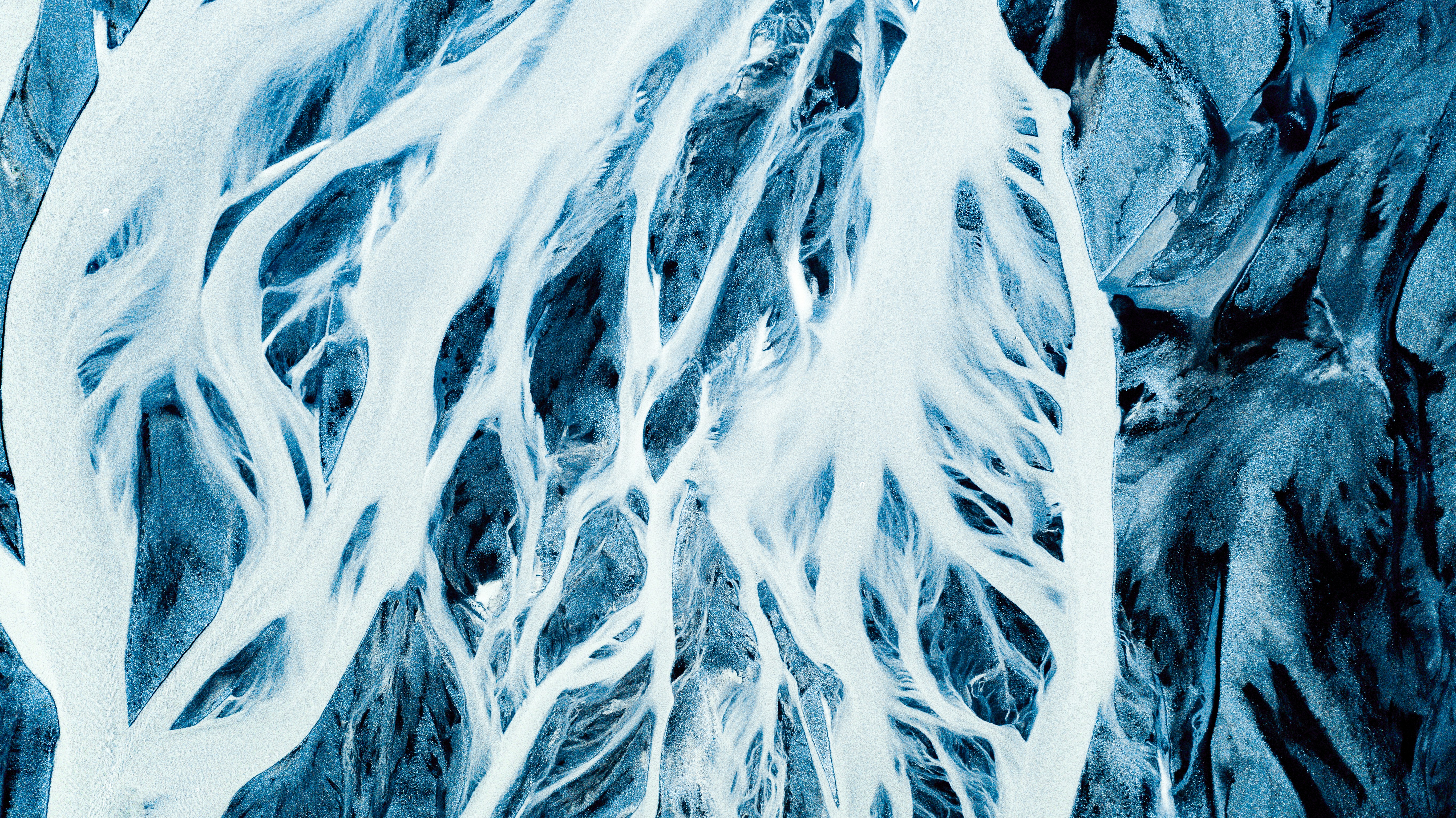 Photo by brunovdkraan