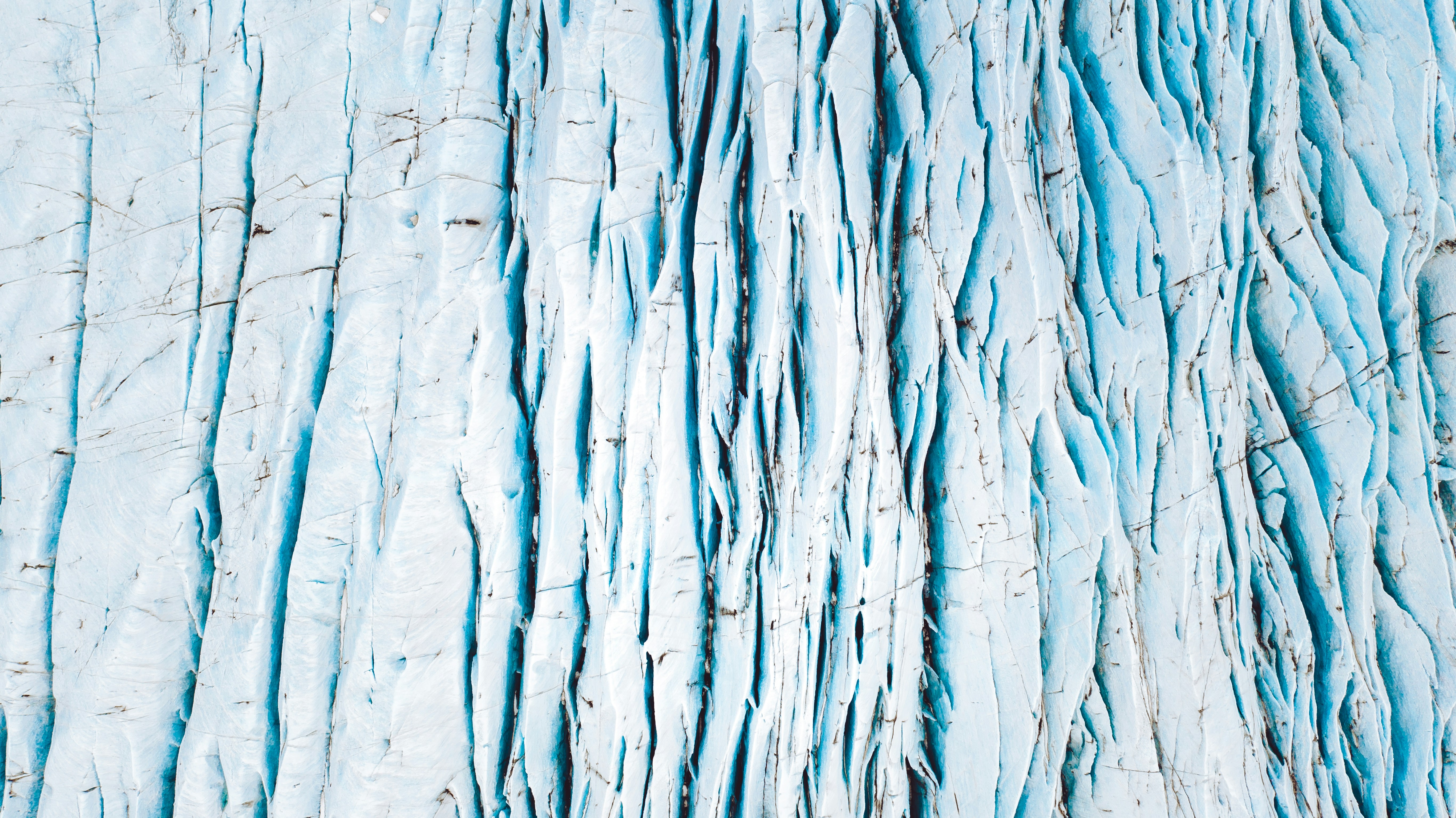 Photo by brunovdkraan