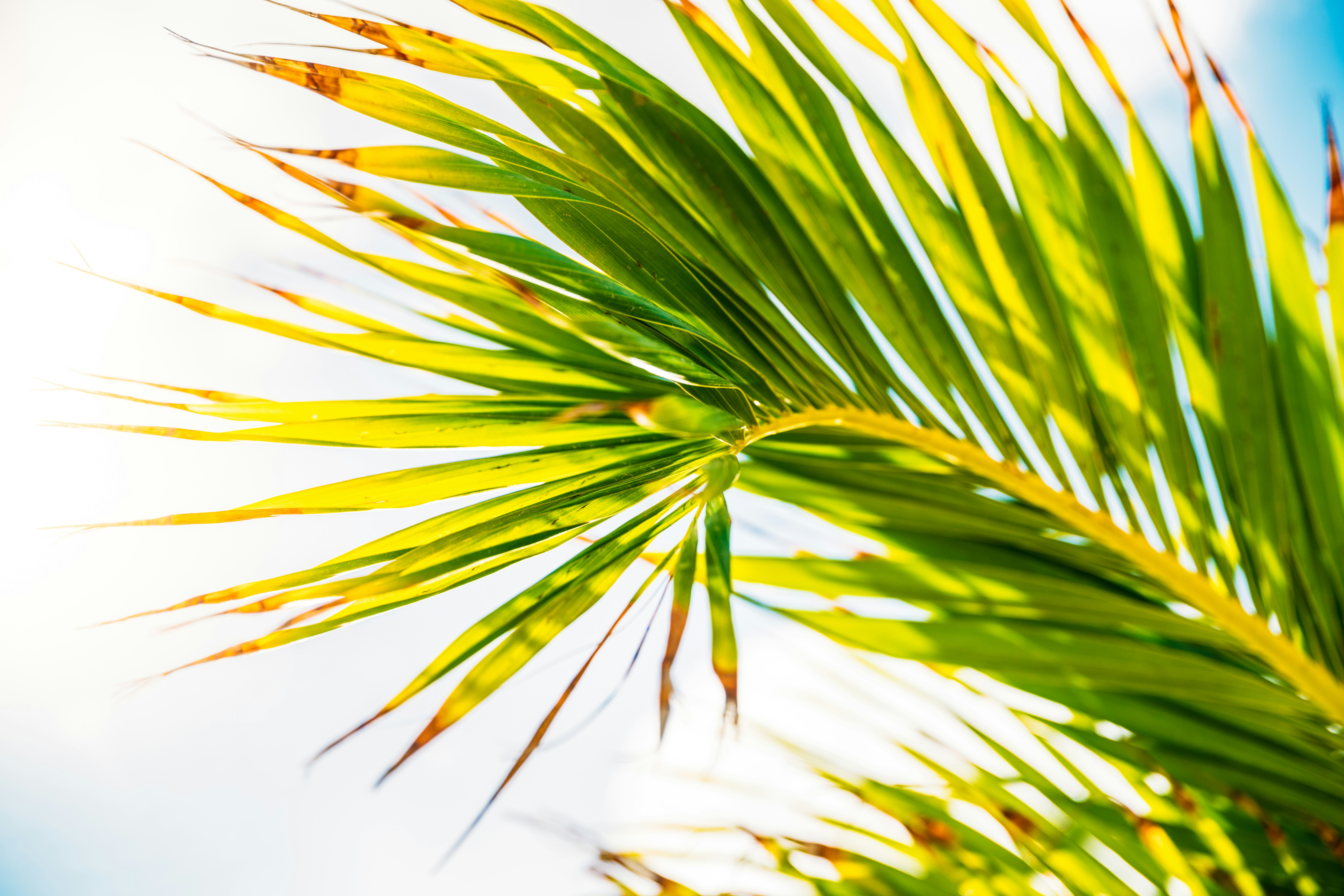 Photo by brunovdkraan