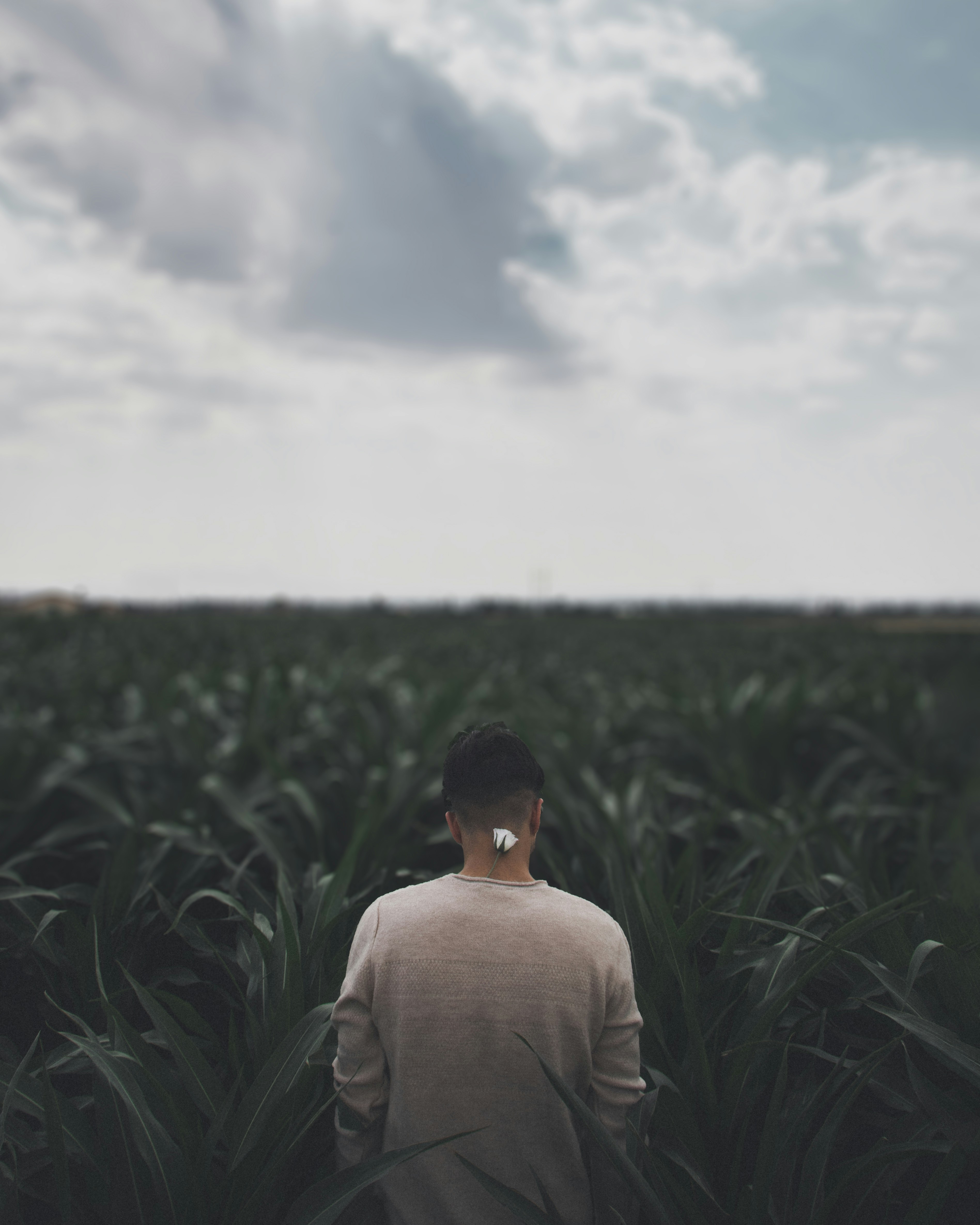 A man standing in a field of tall grass