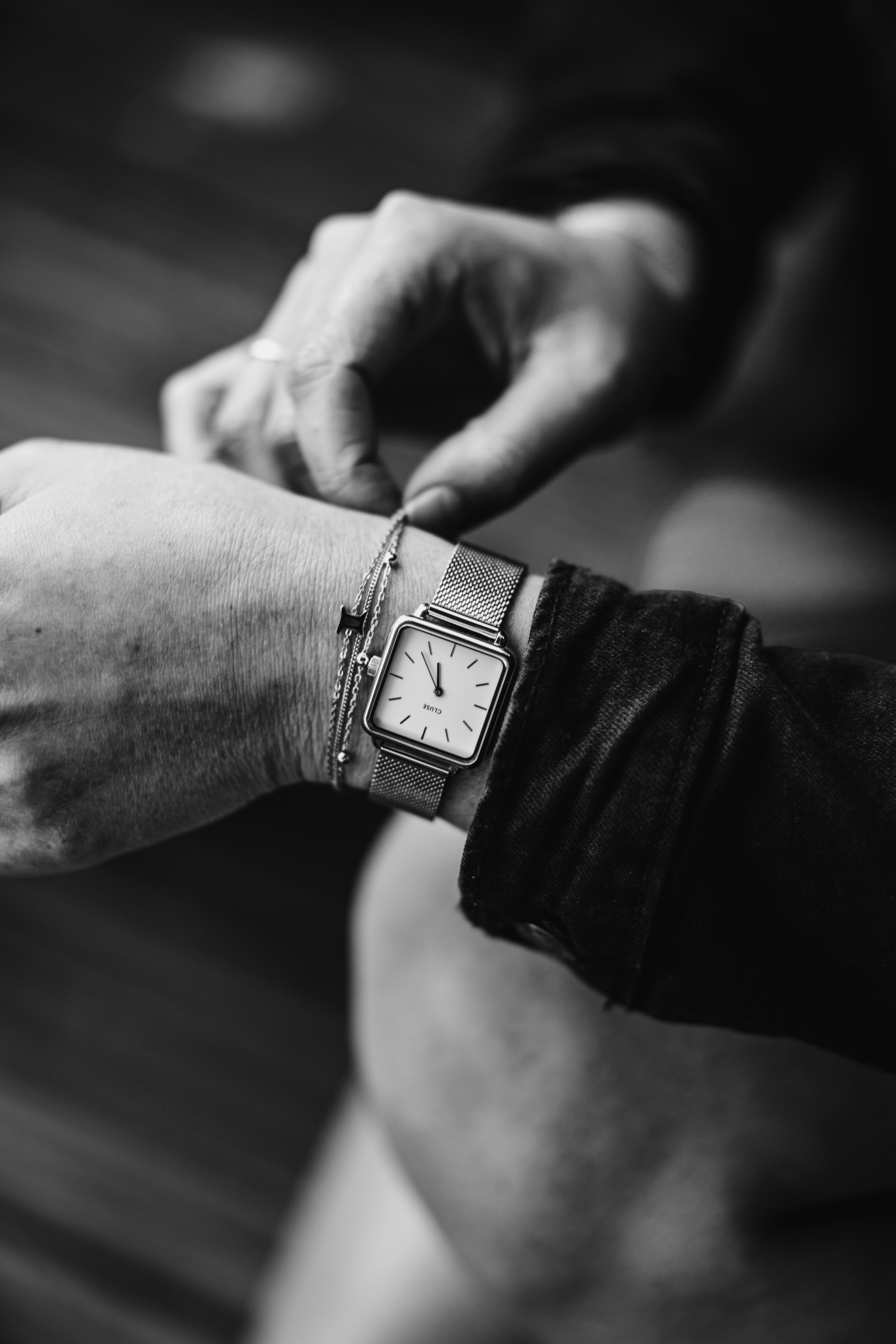 Photo by brunovdkraan