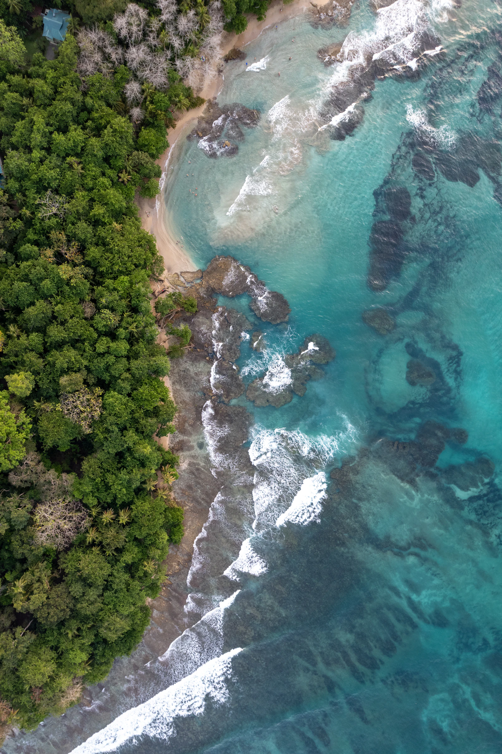 Costa Rican jungle meeting turquoise coastline from above