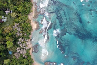 An aerial view of a tropical beach and ocean