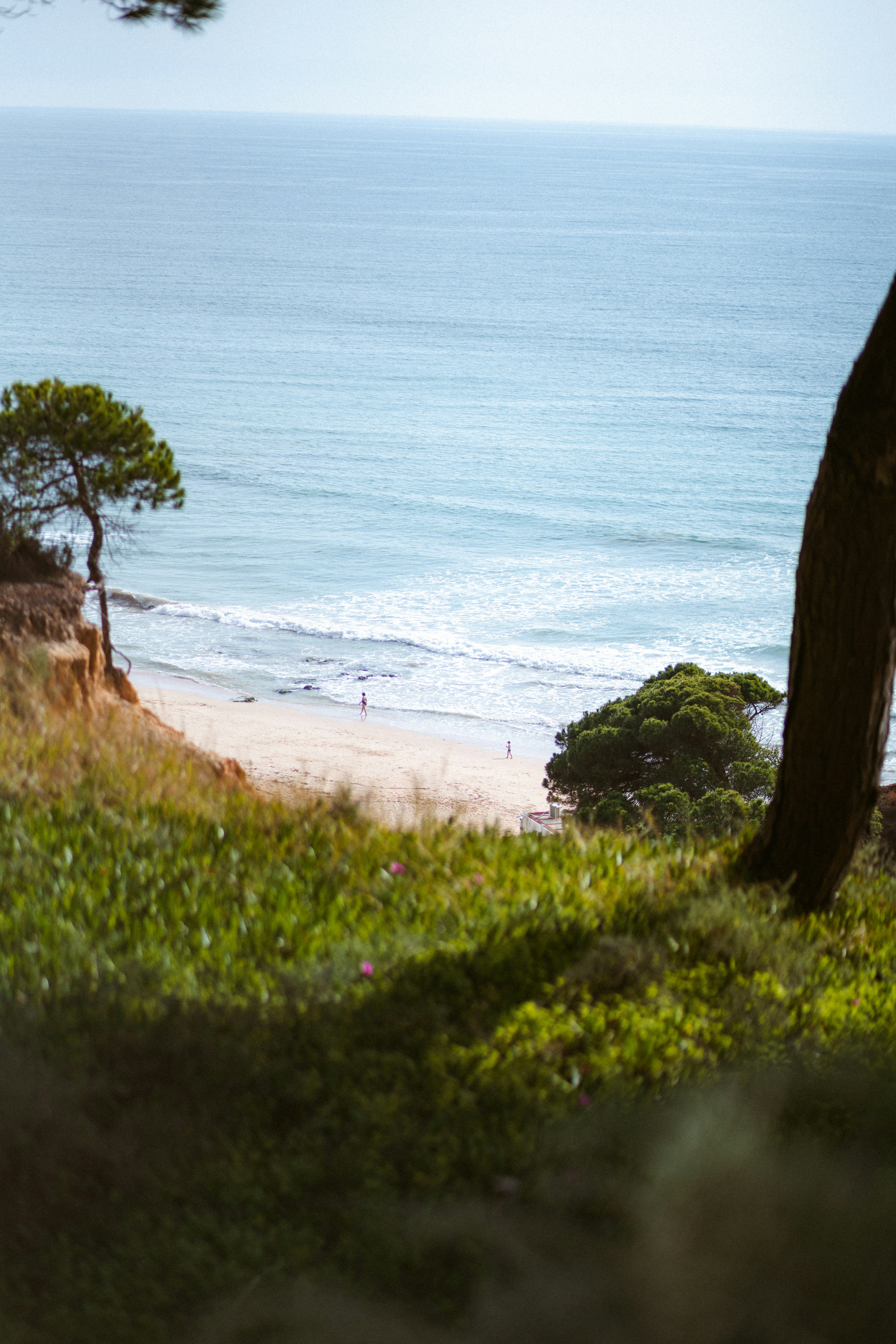 Photo by brunovdkraan